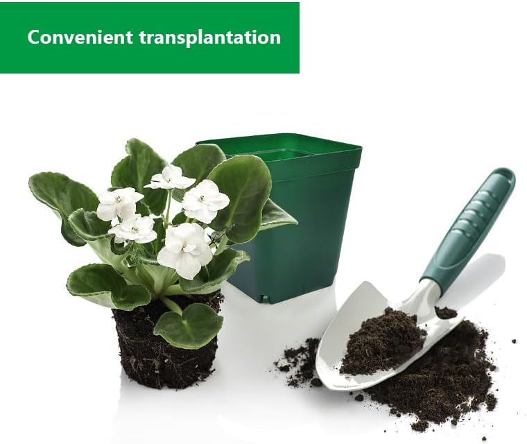 Square Nursery Succulent Pots 4 Inches 60 Pcs Deep Flower Plant Nursery Seedling Grow Pots Plastic with Drainage (Green, 4Inches, 60Pcs)