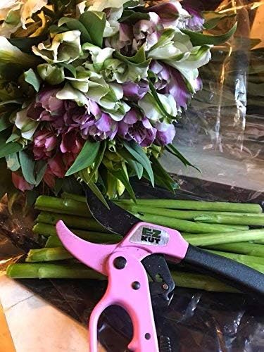 EZ Kut Original Ratcheting Pruner Kit with Molded Ballistic Nylon Sheath and Carbide Blade Tool, Pink and Black