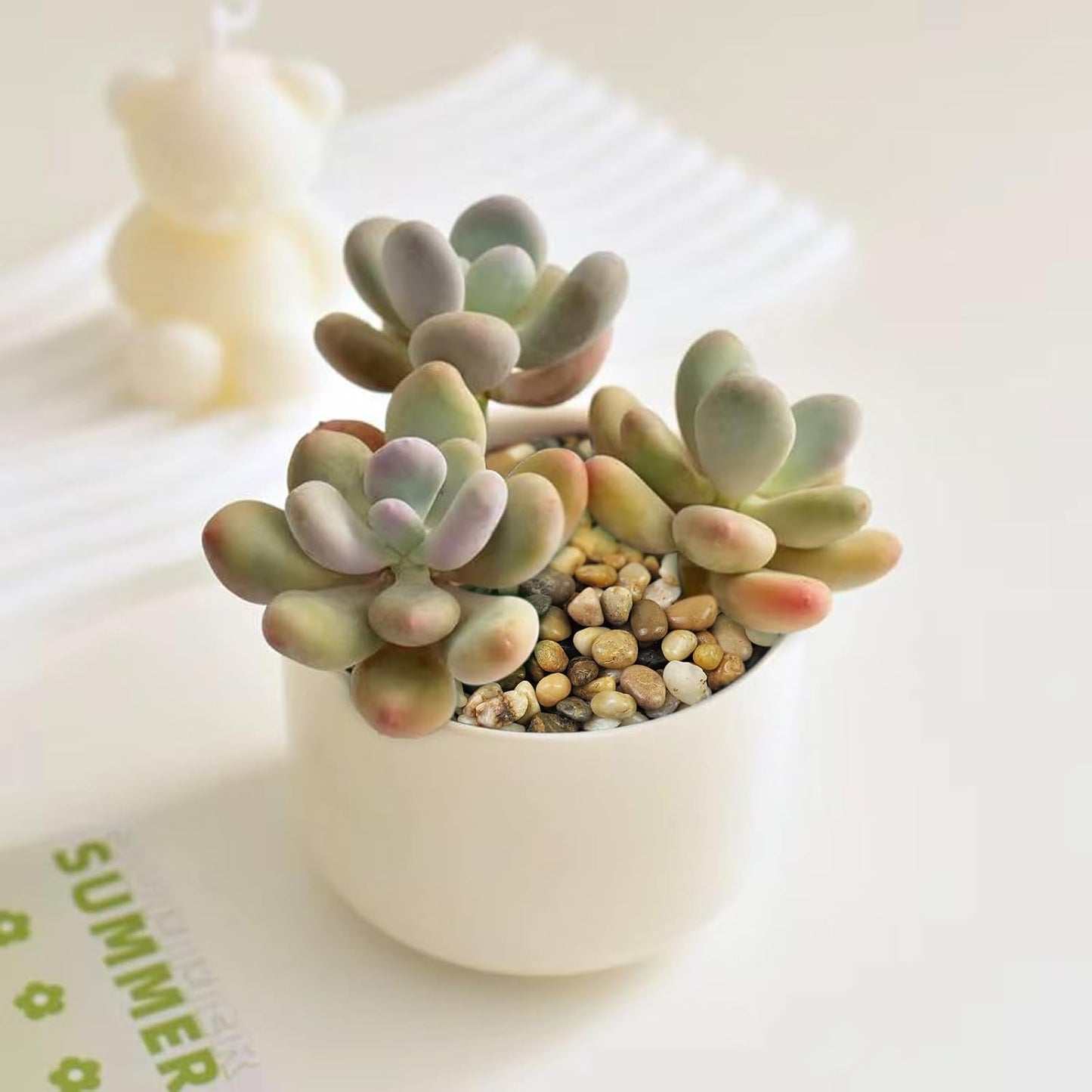 2 Pounds Pebbles for Plants, 3/8 Inch Polished Pea Gravel. Decorative Stones River Rocks for Succulent Soil Cover, Cactus, Aquarium, Vase and Outdoor Garden Landscaping