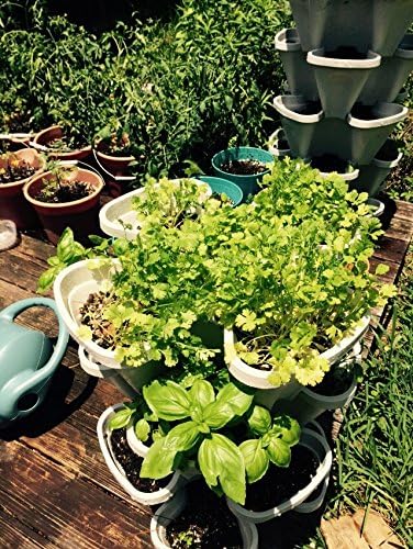 3 Tier Stackable Herb Garden Planter Set with Bottom Saucer - Stone Color - Vertical Container Pots for Herbs, Strawberries, Flowers