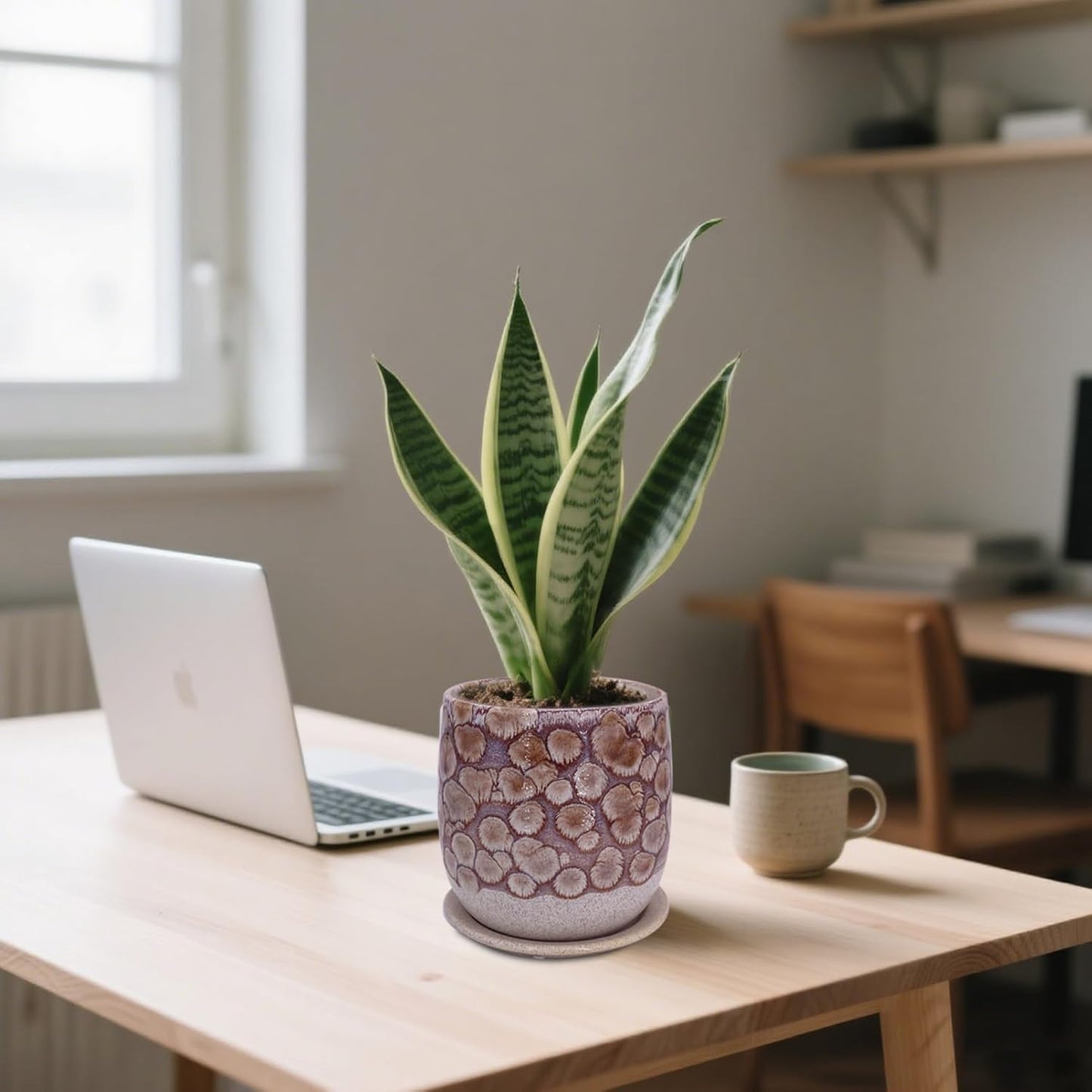 6 in Ceramic Plant Pot with Saucer,Indoor Plant Pot for Plants, Flower Pot with Drainage,Reactive Glaze Red