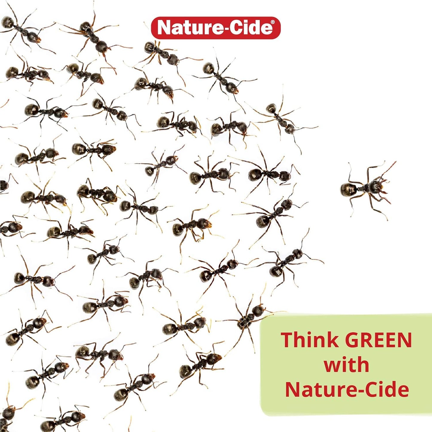 Nature-Cide All Purpose Spray - for Roach, Spider, Mosquito and Ant. Keeps Your Home Safe. No Strong Odor. 8 oz