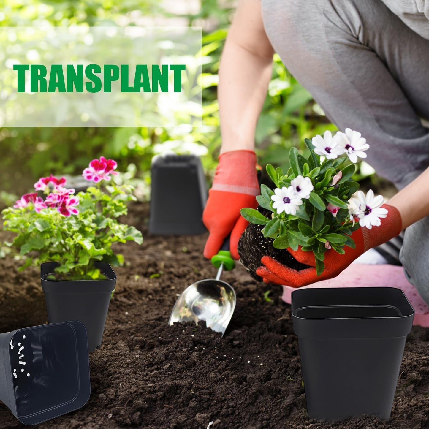 Square Nursery Pots 3" 120Pcs Deep Succulent Plastic Pots Small Flower Planter Seeds Starter Germination Pots with Drainage (Black,2.7Inches,120Pcs)