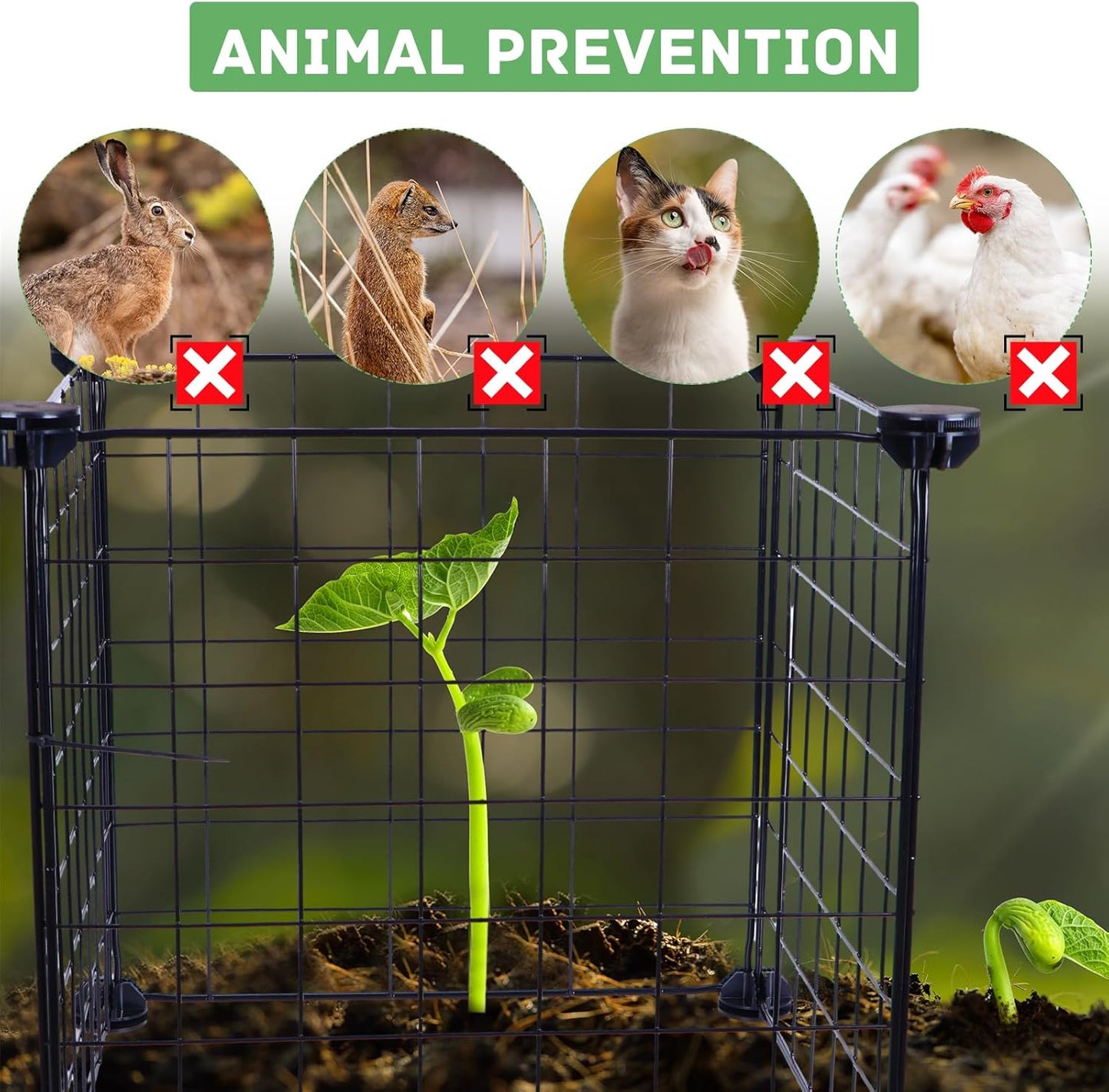 8 Set Wire Plant Covers Plant Protectors from Animals,80 Pcs 12"X12" Chicken Garden Cloches for Plants Metal Meshes for Protect Plants Vegetables