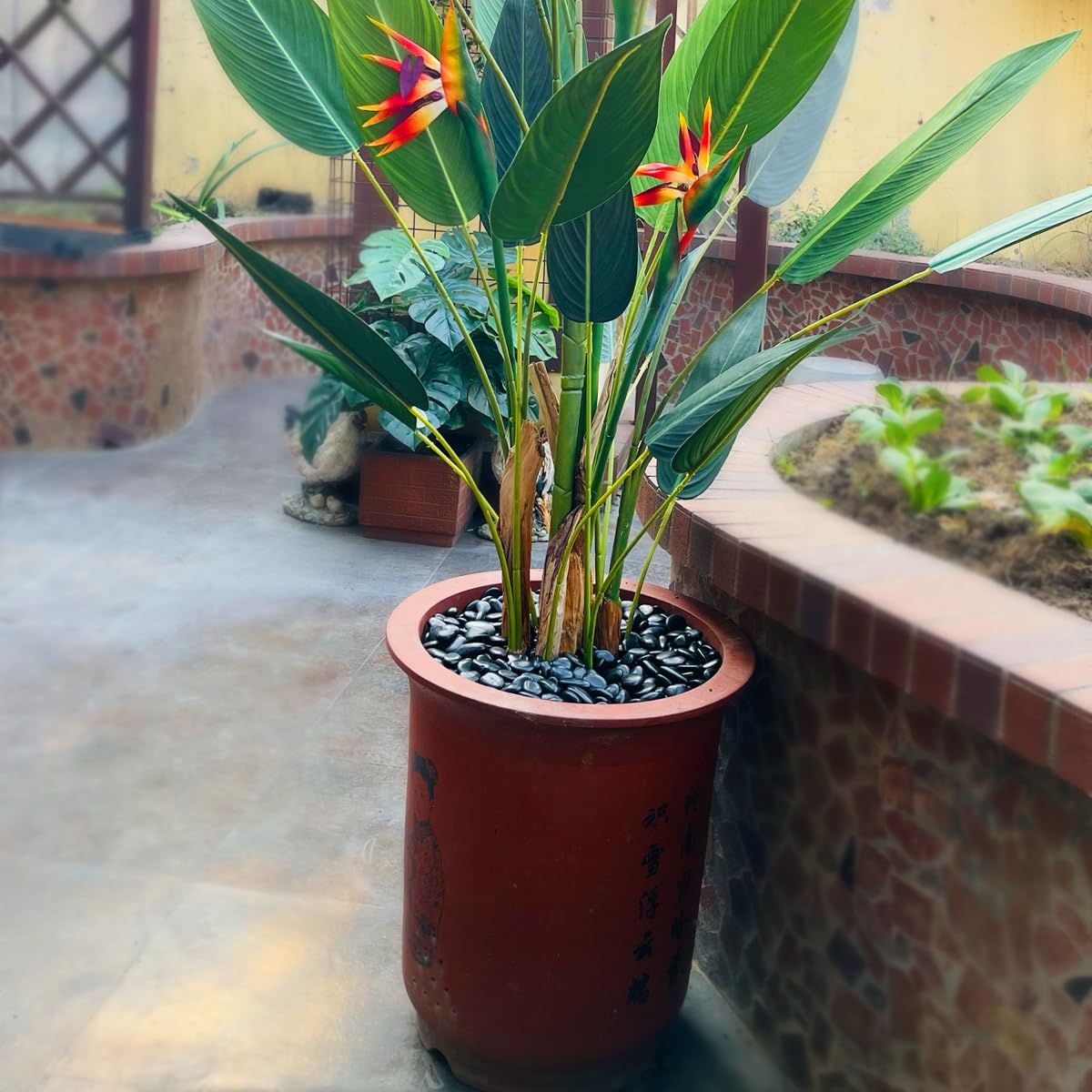 2LB Succulent and Cactus Black Pebbles, 3/8 Inch Natural Decorative Polished Stones, River Rocks for Indoor Plants, Vases, Planters and Outdoor Gardening