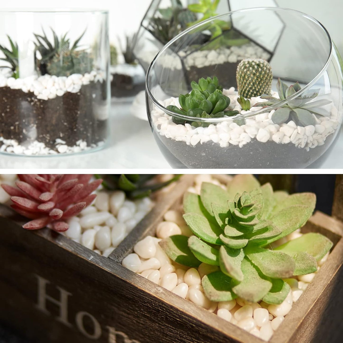 GASPRO 10 lbs White Pebbles for Plants, Vases, and Landscaping in Garden - Highly Polished 3/8" Small Rocks for Indoor and Outdoor Decor