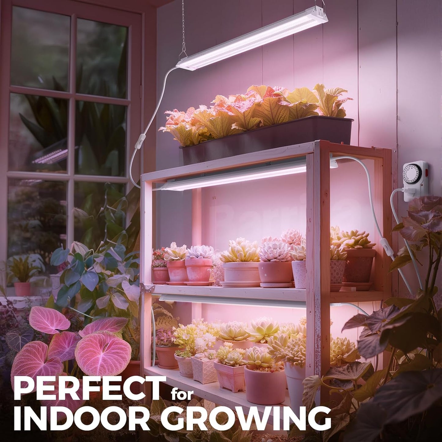 Barrina TX36 2FT Grow Lights for Seed Starting, 144W(4 x 36W, 800W Equivalent), High PPFD, Full Spectrum, Mechanical Timer, Grow Light for Indoor Plants with On/Off Switch, Linkable, 4 Packs