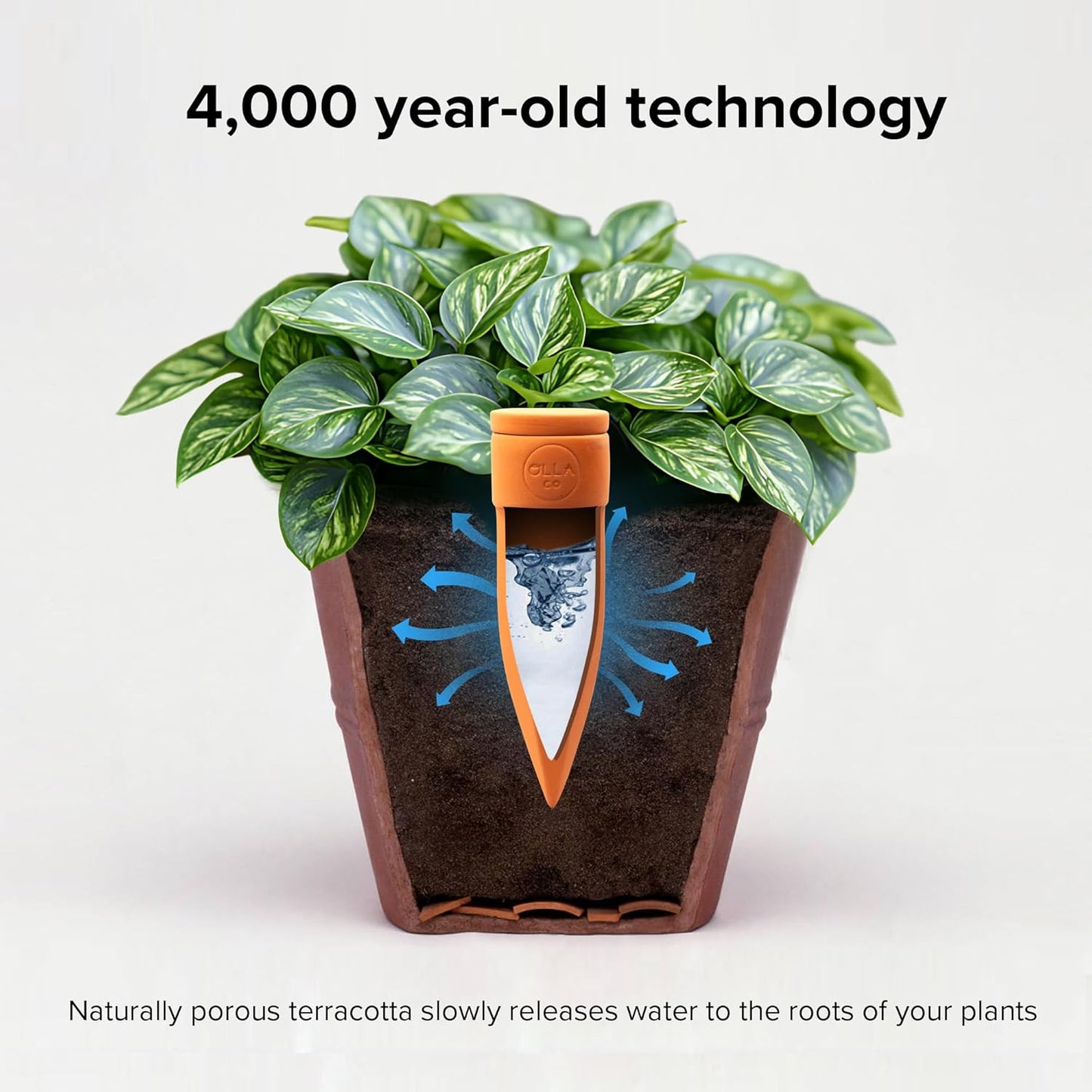 Plant Watering Spikes with Lids - Ideal for 5”-9” Pots - Vacation Friendly - Terracotta - Medium - Set of 4