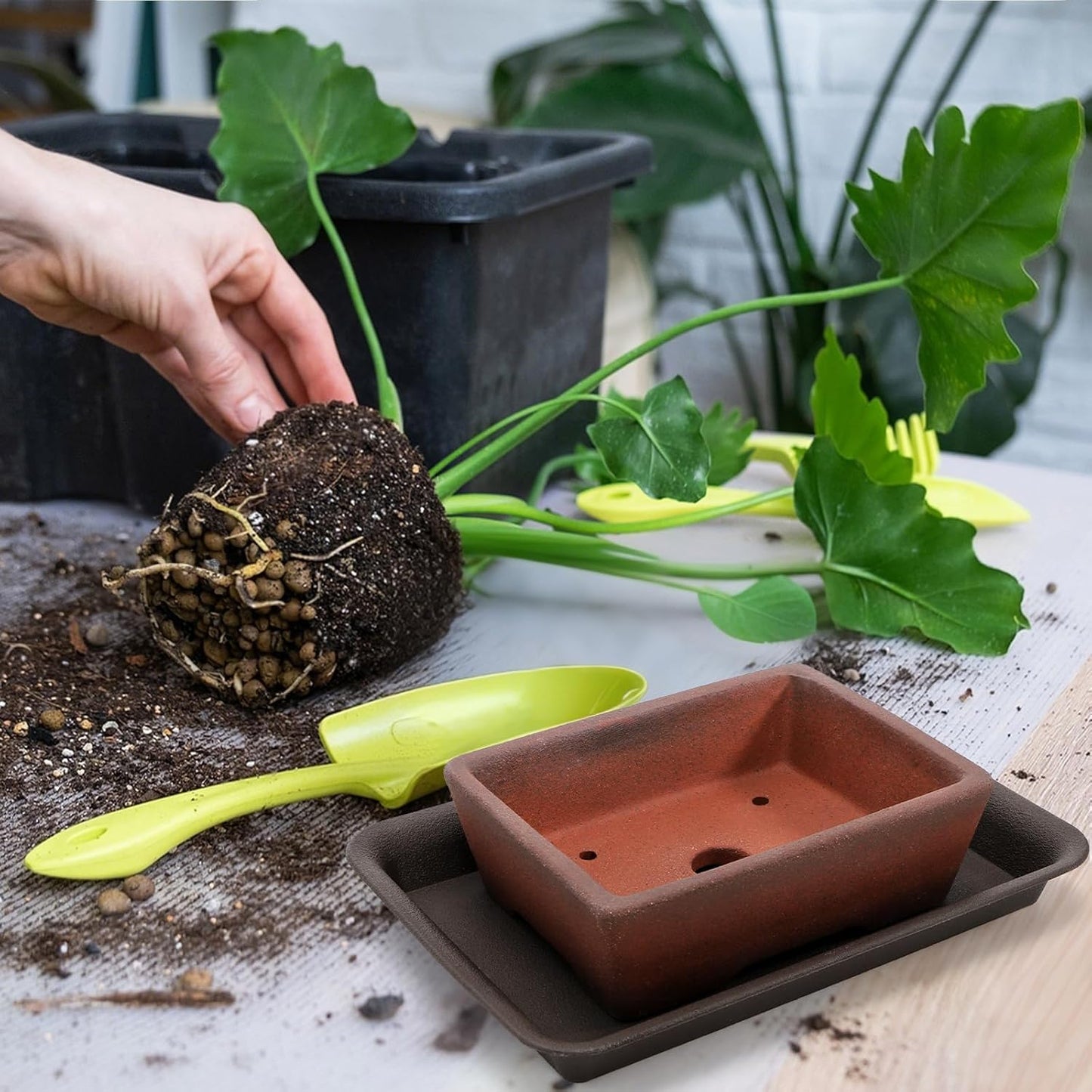 2 Pack Rectangle Bonsai Pots, 6" and 7" Bonsai Planter, Handmade Unglazed Ceramic Planters with 2 Match Humidity Trays 2 Drainage Mesh Pads, Bonsai Tree Training Kit for Garden Outdoor Indoor