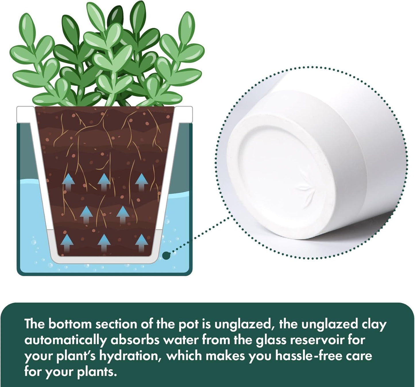 D'vine Dev 4 Inch Design Self Watering Planter for Indoor Plants, White Terracotta Pot with Teal Cylinder Glass Cup, Set of 2, 37-Y-A-5