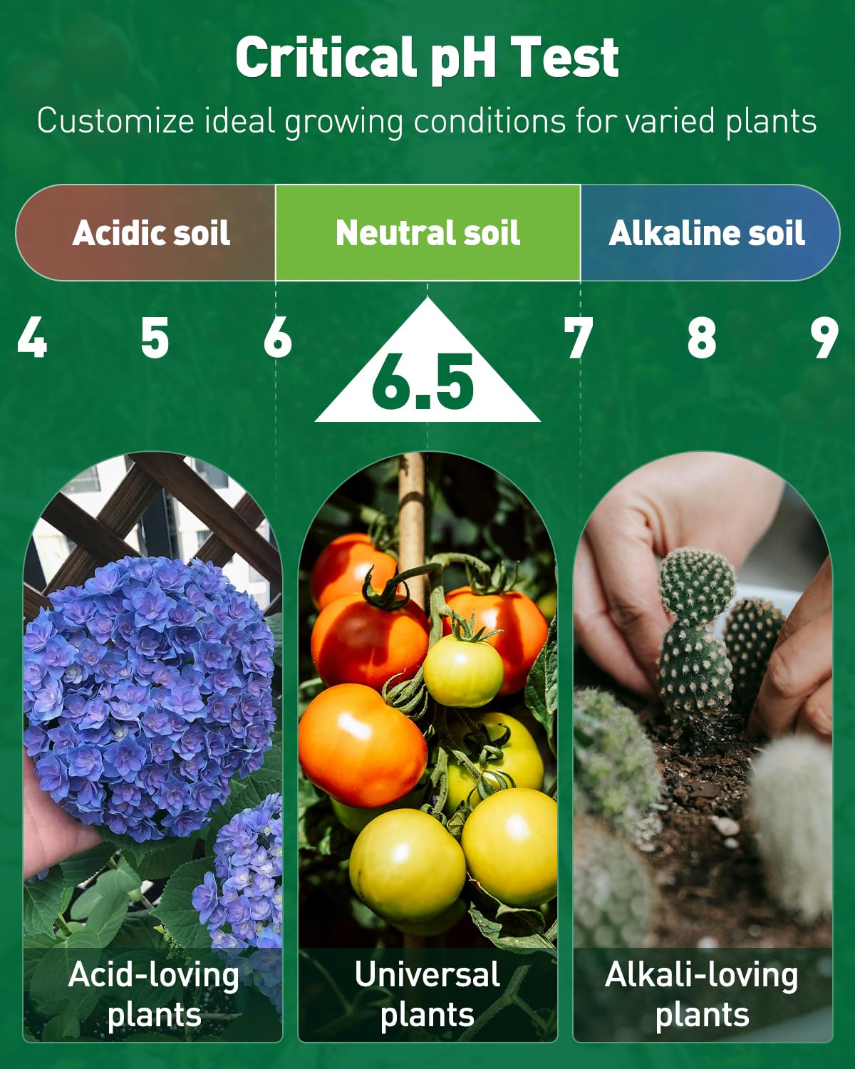Pawfly 2 in 1 Soil Test Kit for pH & Nitrogen, 30 Strips Soil pH Test Kit, Soil pH Test Strips (3.5-9 Range), Soil Testing Kit for Lawn Garden Indoor & Outdoor