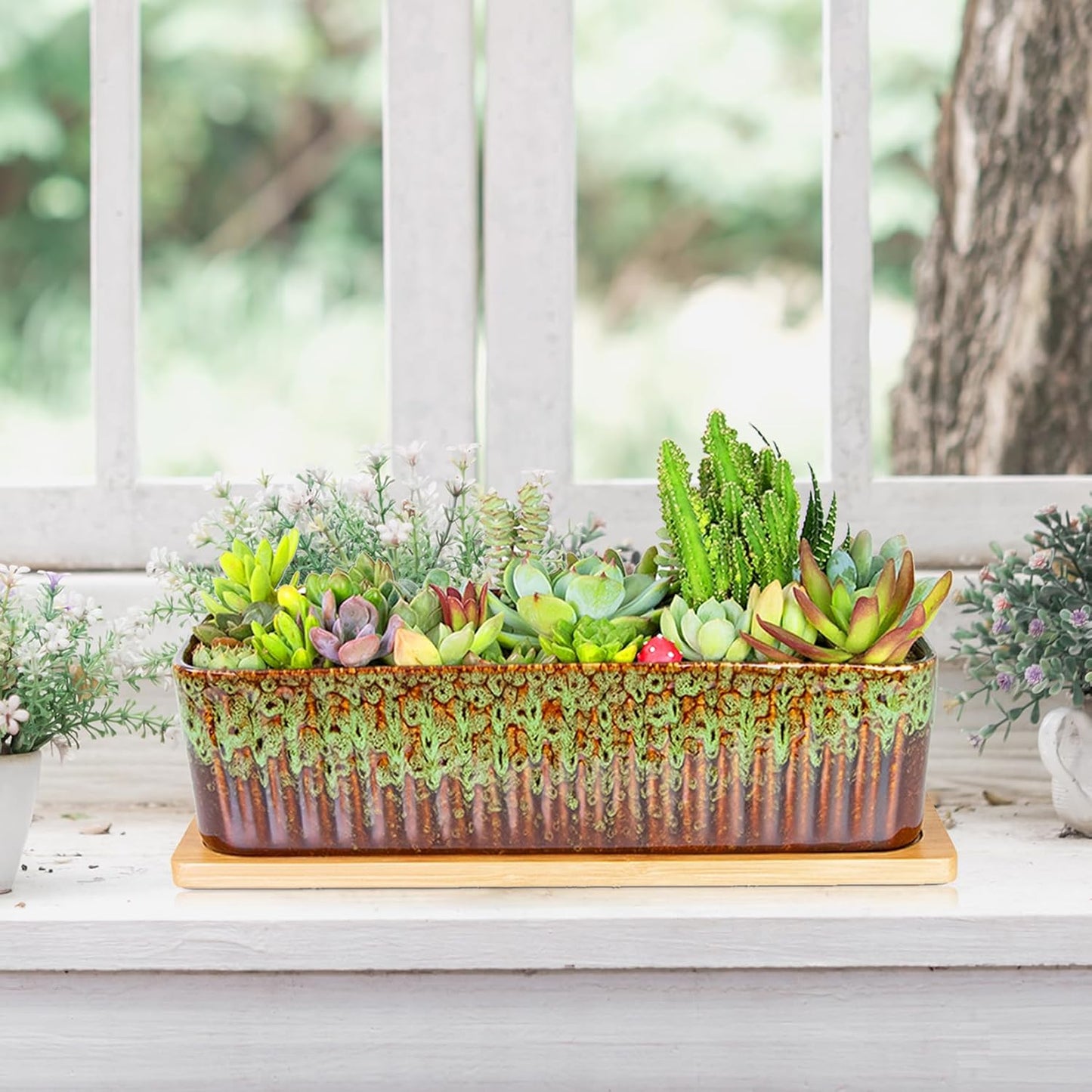 Succulent Pots - 12 Inch Large Succulent Planters with Drainage Tray, Window Sill Planter, Long Rectangle Ceramic Pots for Indoor Cactus Plants Shallow Bonsai Window Box for Home Garden Decor