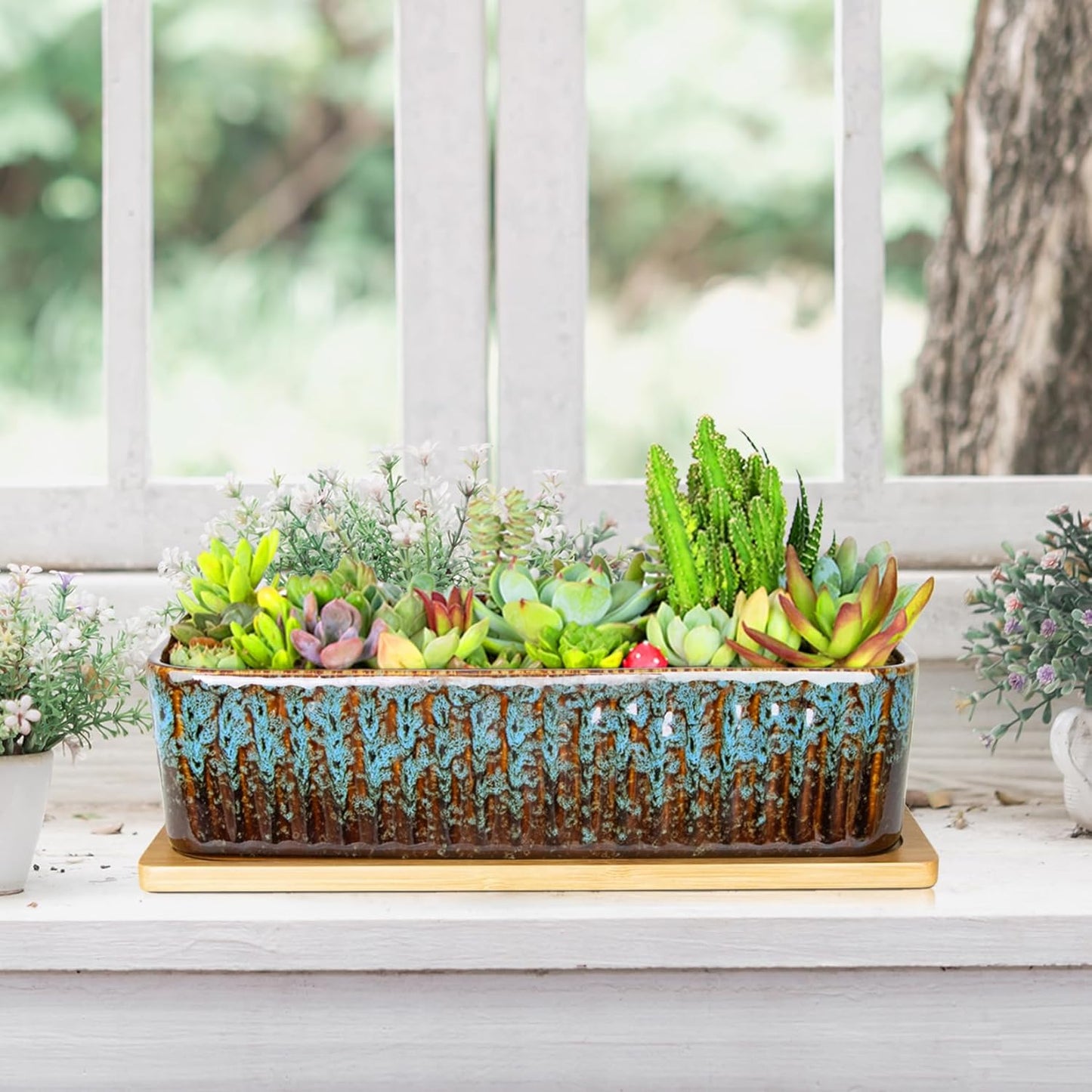 Succulent Pots - 12 Inch Large Succulent Planters with Drainage Tray, Window Sill Planter, Long Rectangle Ceramic Pots for Indoor Cactus Plants Shallow Bonsai Window Box for Home Garden Decor