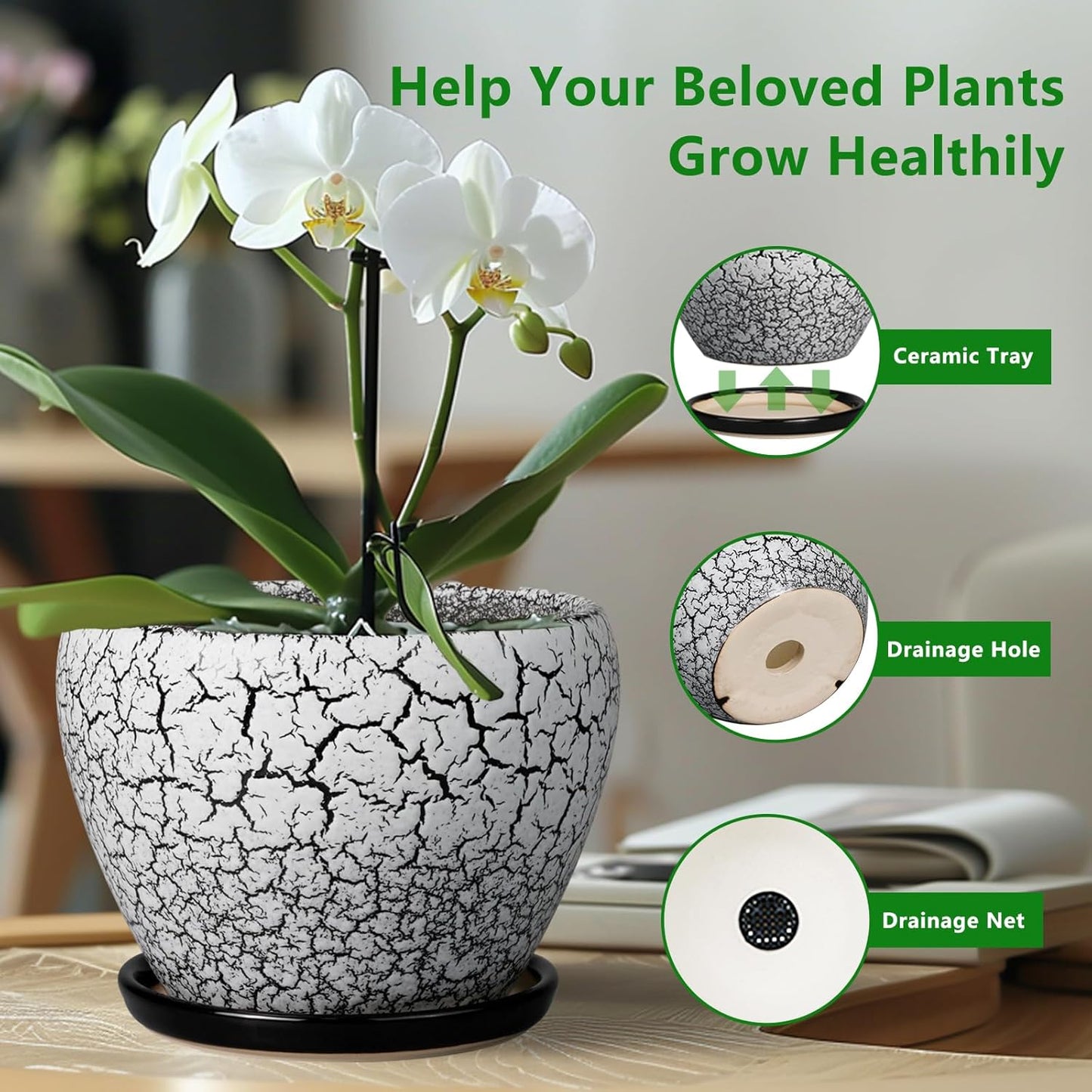 Ceramic Planters for Indoor Plants - 10 Inch Plant Pot with Drainage Hole and Saucer, Large Flower Pot for Home Decor, White/Black