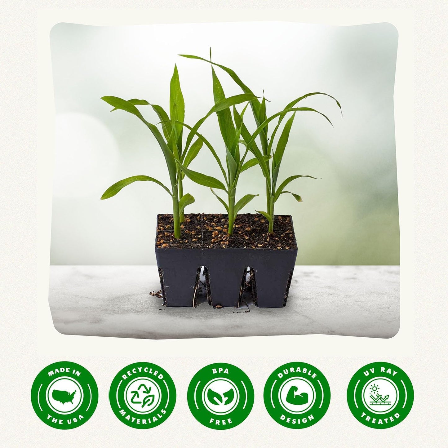 Epic Gardening Reusable Seed Starter Tray - 6 Cell/72 Seedling Starter Trays - Easy Watering, Indoor Greenhouse, Plant Starter, Gardener-Friendly for Seedlings | UV-Treated & BPA-Free - Black