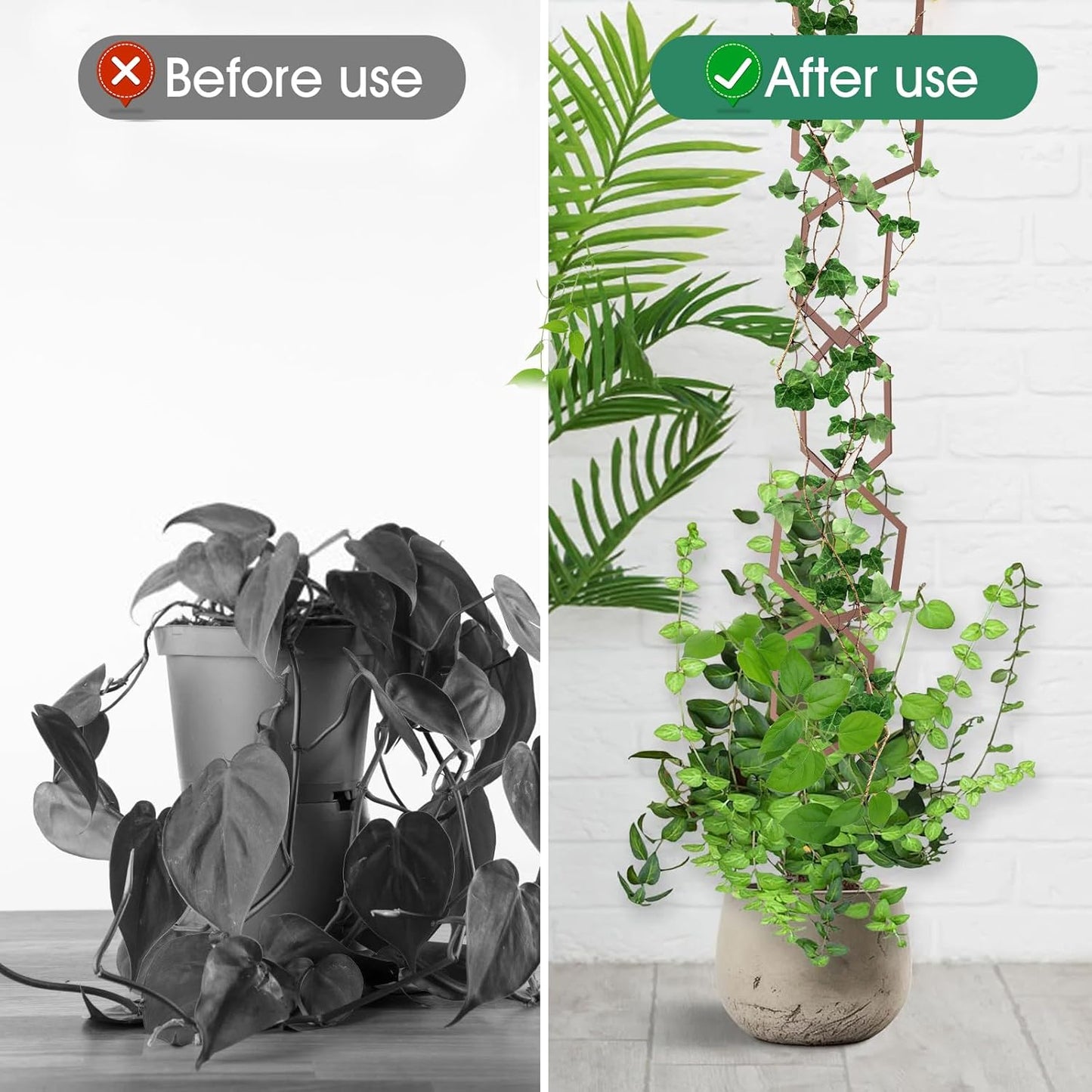 20pcs Chain Trellis for Climbing Plants, HSSZXFR DIY Plant Climber Support for Vines and Garden Wall Trellis, Indoor and Outdoor Accessories for Monstera Pothos Ivy Flower (Hexagonal)