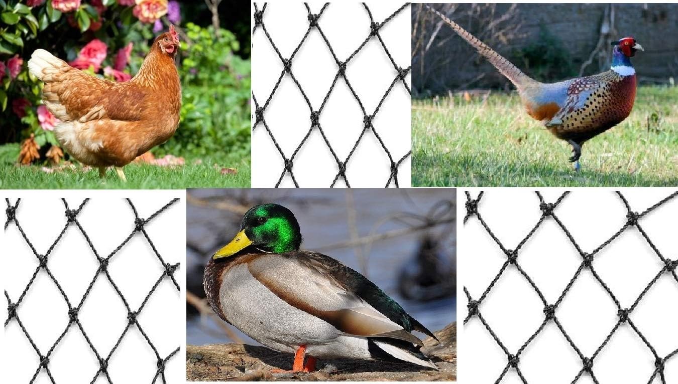 Aviary Netting Heavy Knotted 2 inch Poultry Net (25 ft x 150 ft)