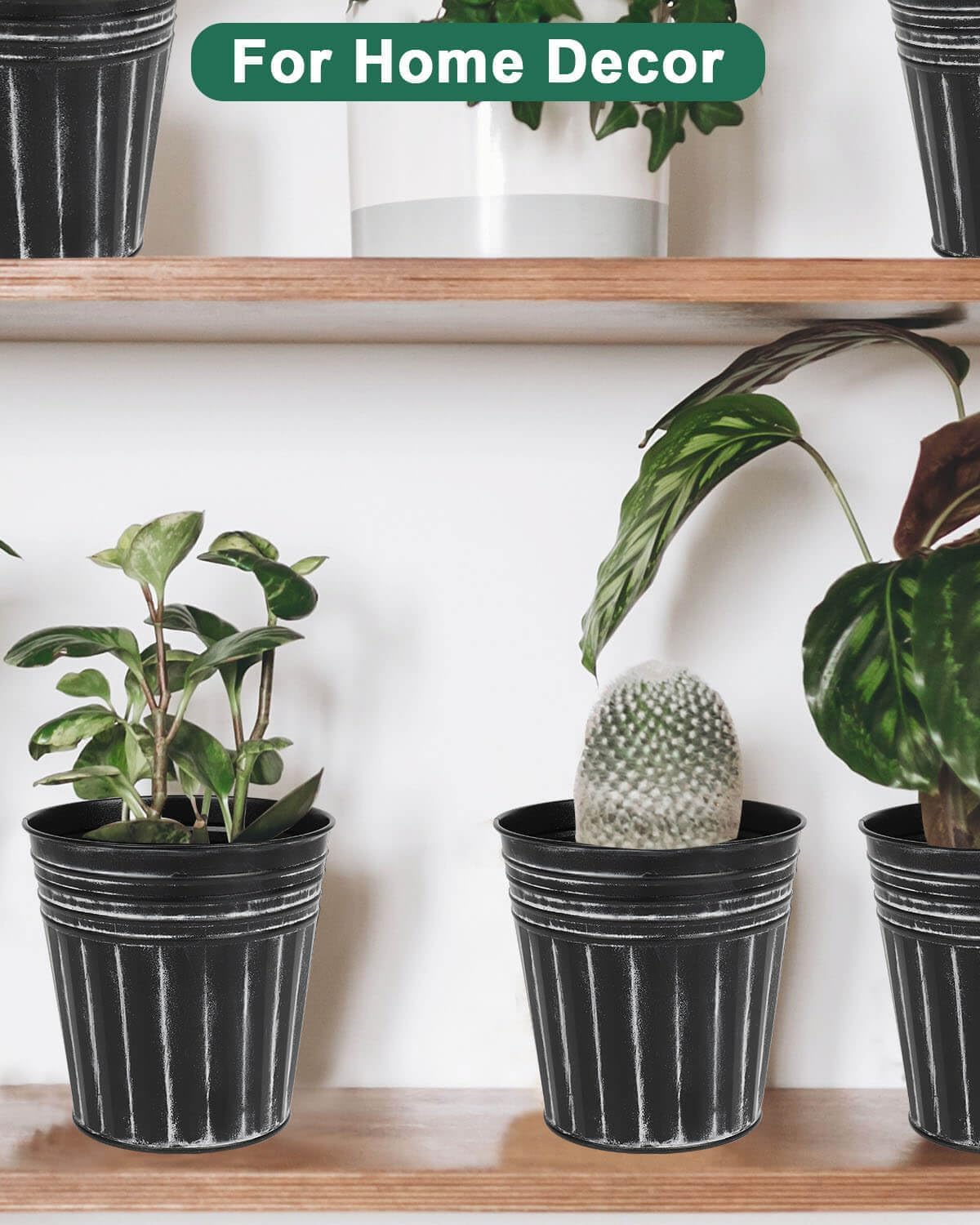 6 Inch Black Metal Rustic Flower Pots - 6Pcs Galvanized Planters with Drainage Hole and Rubber Plug, Rustproof Metal Bucket Plant Pots Farmhouse Vintage Style for Decor