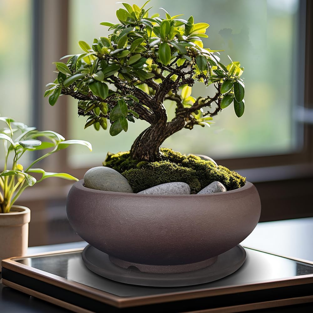MUZHI 5.3” Round Ceramic Bonsai Starter Pots with Trays Set of 2 Brown and Red, Small Vintage Unglazed Succulent Pots with Saucers Minimalist Classic Mame Bonsai Planter with Drainage