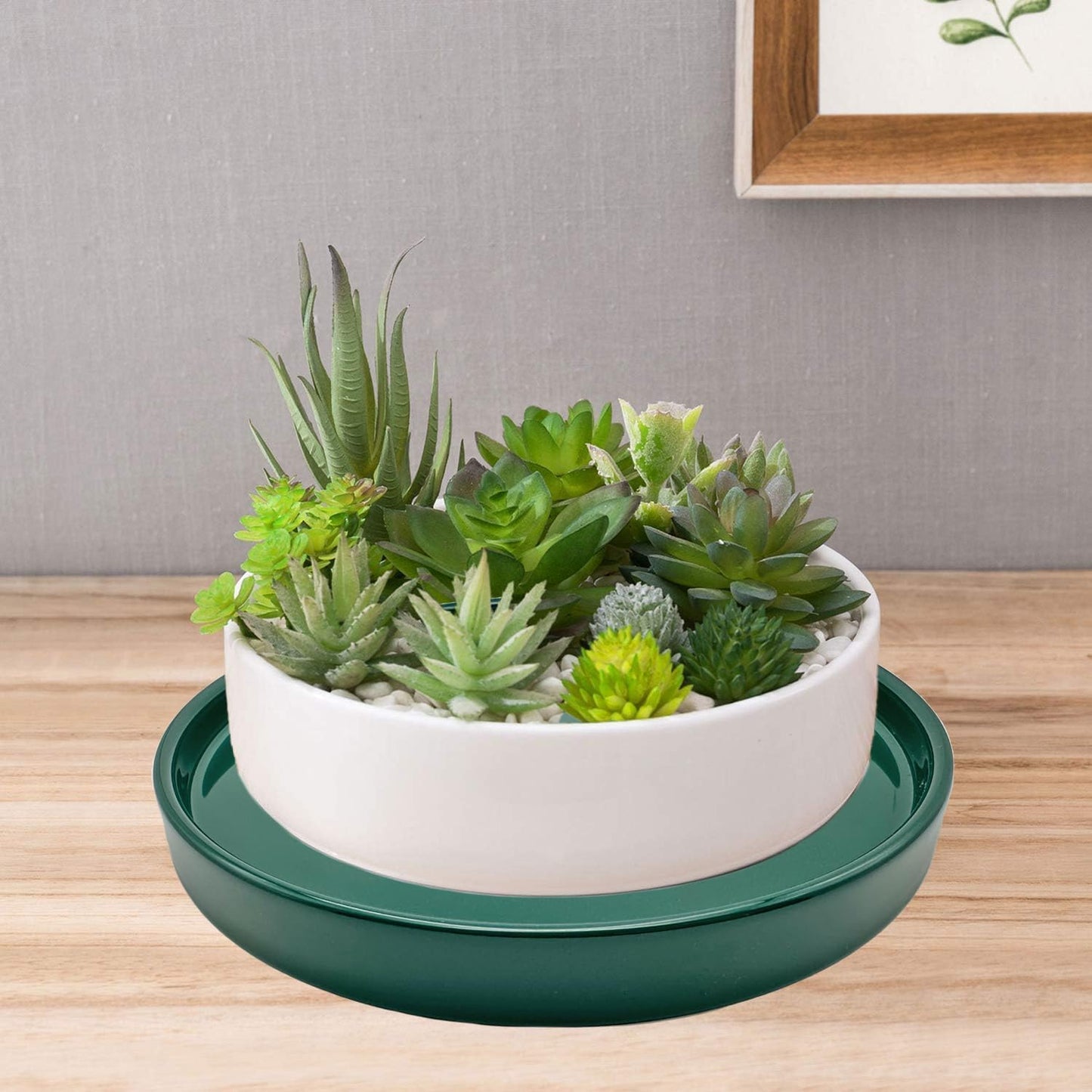 2 Pack Ceramic Plant Saucer Pot Tray 8 Inch, Planter Saucers 4 5 6 7 8 9 10 11 12 Inch for Indoors Outdoor, Durable Sturdy Flower Drainage Tray for Glazed Pots Base (8.5 Inch Green)