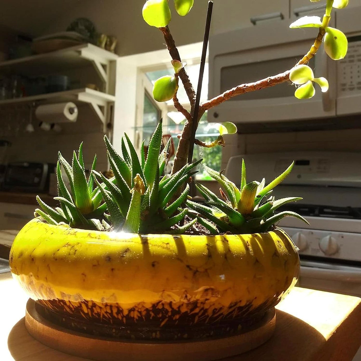 ARTKETTY Succulent Pots, 1 Rectangle Planter + 1 Ceramic Bonsai Pot with Drain Tray, 2 Pack Large Shallow Succulent Planters for Indoor Plants, Round Cactus Flower Plant Pot for Desk Windowsill Decor