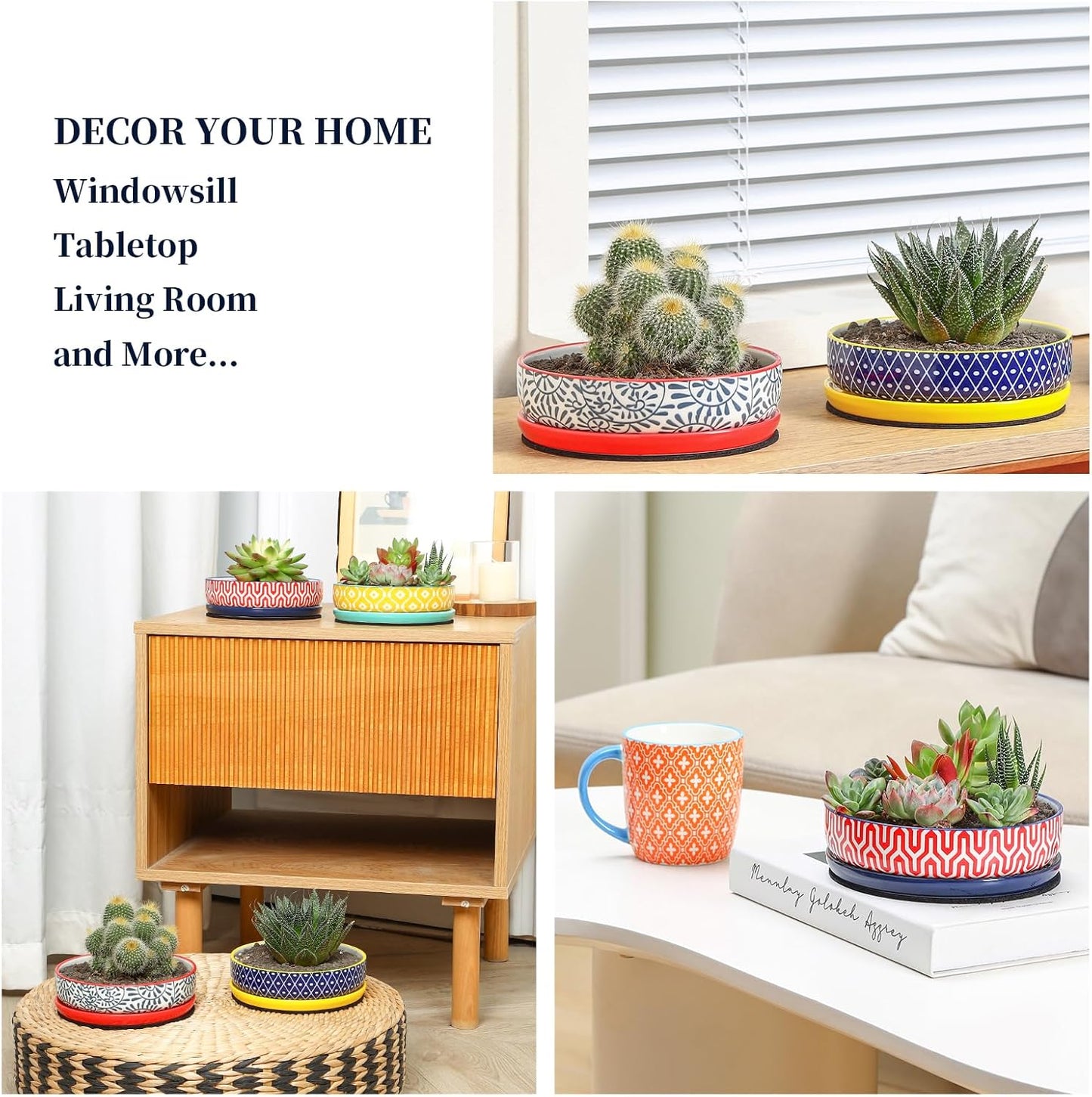 Selamica Ceramic Succulent Pots, 6 Inch Shallow Succulent Planters with Drainage Hole & Saucer, Indoor Plant Pots for Cactus, Herb, Home Decor, Set of 4, Assorted Colors