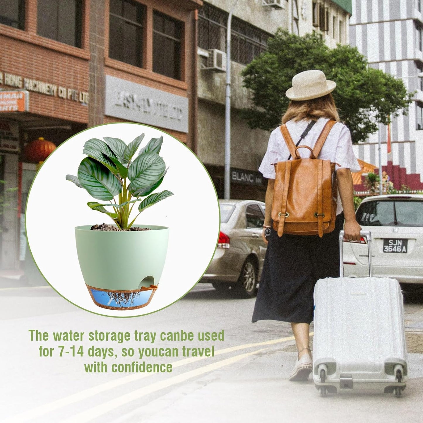 8 inch Self Watering Pots, 2 Pack Plastic Planters with Mesh Drainage Holes for Garden Plants and Flower, Plants Pots with Deep Reservoir for Indoor Outdoor Plants, Green with Brown