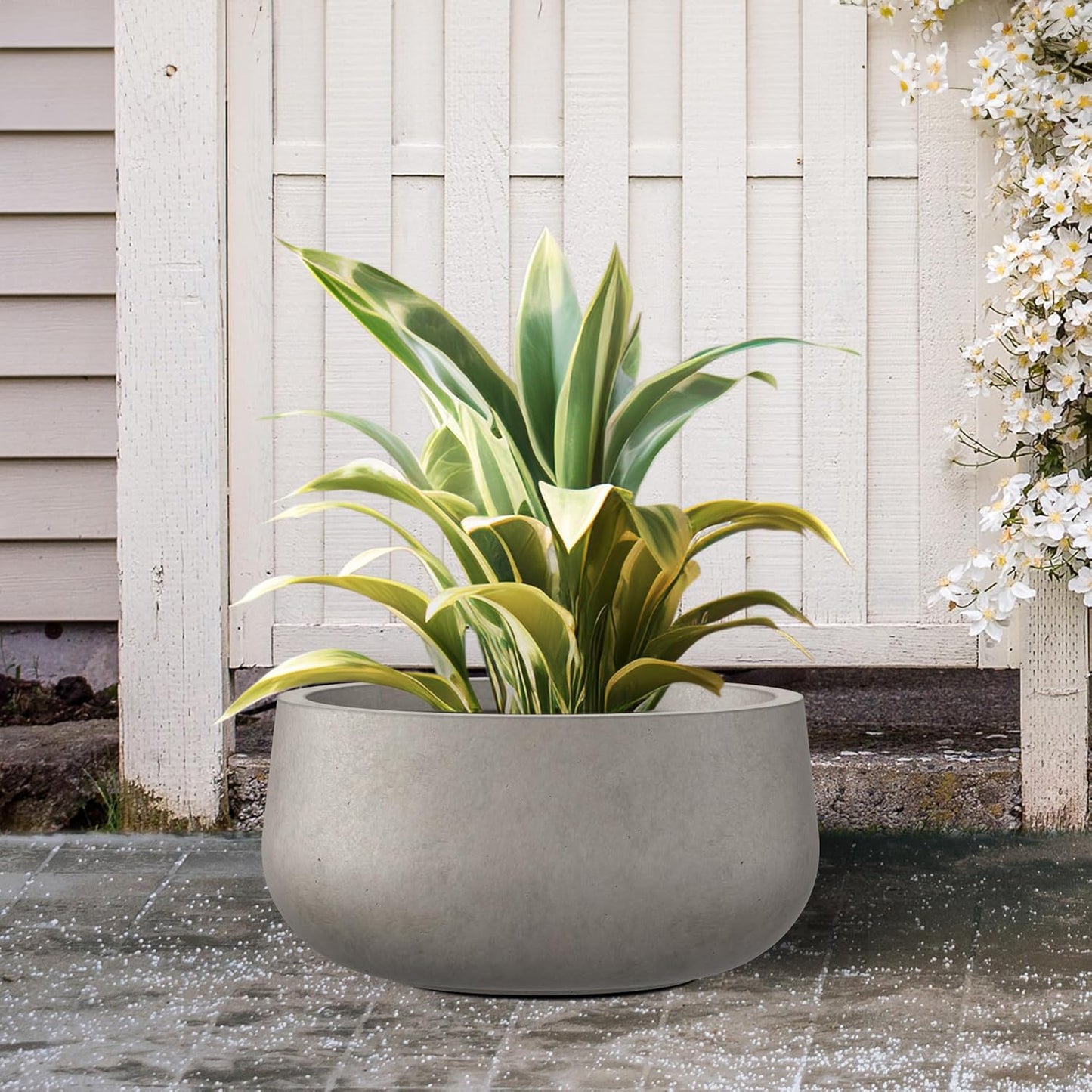 Kante 11.8" Dia Round Concrete Planter, Cement Plant Pots with Drainage Hole and Rubber Plug for Outdoor Indoor Garden Home, Modern Curvaceous Design, Weathered Concrete
