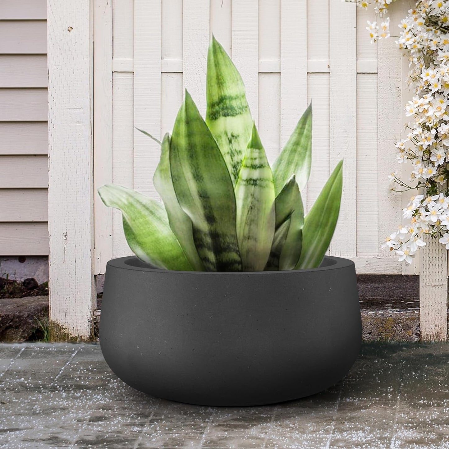 Kante 19.6" Dia Round Concrete Planter, Cement Plant Pots with Drainage Hole and Rubber Plug for Outdoor Indoor Garden Home, Modern Curvaceous Design, Black