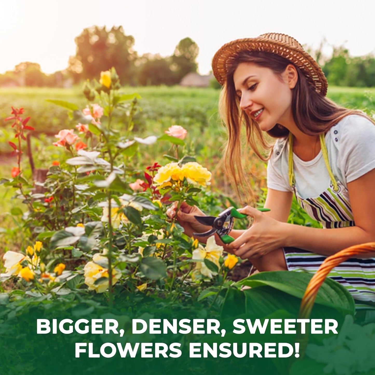 BuildASoil Vegan Bloom Booster & Flower Fertilizer โ Organic Hydrangea & Rose Fertilizer Plant Food, Bloom Booster Fertilizer for Outdoor Gardens & Houseplants โ Natural Soil Flower Food, 1 LB Bag