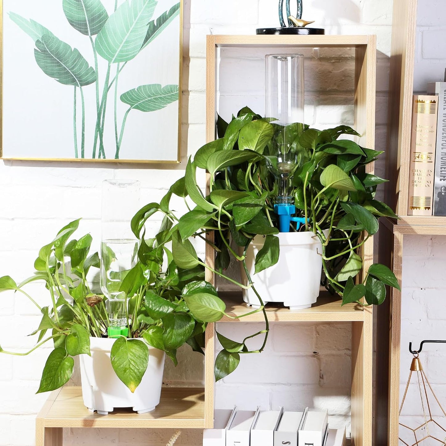 16 Set Plant Watering Devices with Self Watering Spikes and 26 oz Plastic Bottles Plant Waterer Devices with Adjustable Control Valve Switch Indoor Outdoor (Clear)