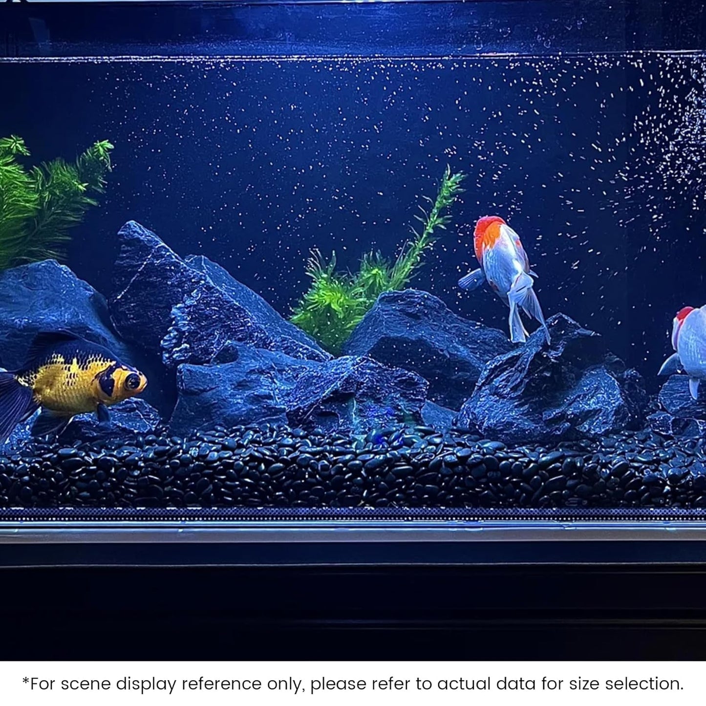 SIDONG 10 LB Black River Rocks, 0.3-0.5 Inches High Polished Pebbles for Indoor Plants, Aquarium Rocks Used in Fish Tank, Decorative Stones for Plants, Vases, Home DΓ©cor, Crafting, Garden Landscaping