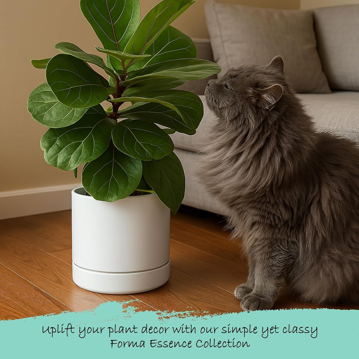 Phoenix Vine 8 Inch Planter Pot with Drainage Hole & Saucer, Deep Water Catch Tray, Straight Cylindrical Round Pot for Plants, Matte White, Pack of 2, 23-B-T-2