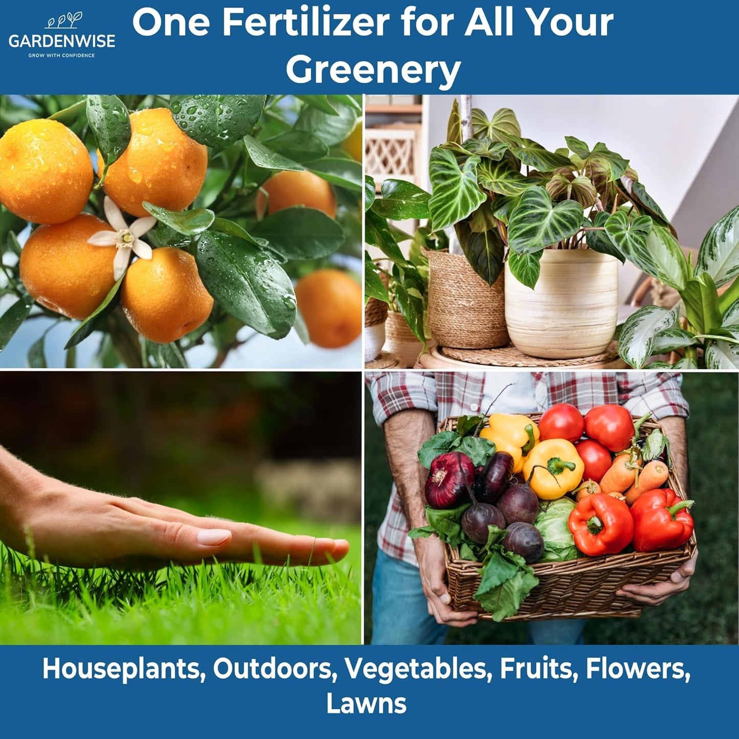 20-20-20 Water-Soluble Fertilizer β Powder for Liquid Plant Food for Indoor & Outdoor Plants, Orchids, Vegetables, Lawns, Flowers β 20 20 20 Fertilizer 5 Quarts (10 lbs)