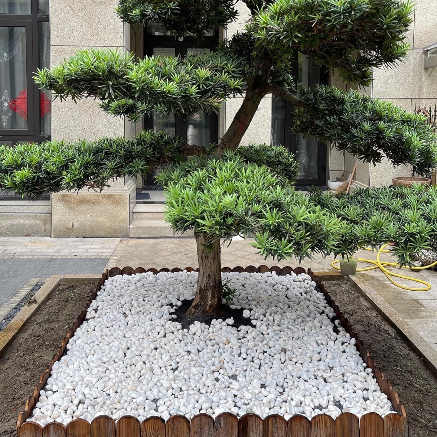 5 lbs White Matte Rocks for Plants, 2-3 Inch Large Pebbles for Indoor Plants, Decorative River Stones for Succulent, Landscaping, Vases, Crafting and Garden