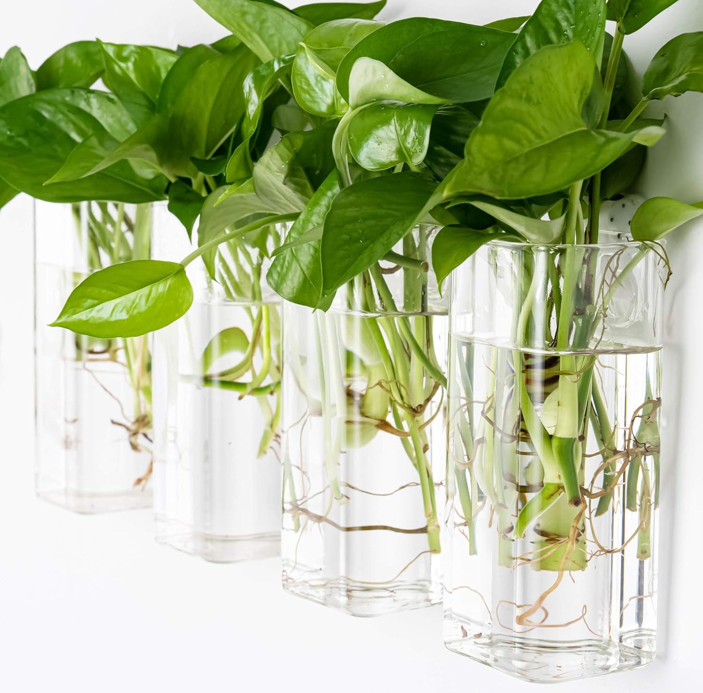 Kingbuy Plant Terrarium Container Propagation Station Square Tube Vase Wall Hanging Glass Planter Indoor Hydroponic Plants Home Office Garden Decor, 4 Pack