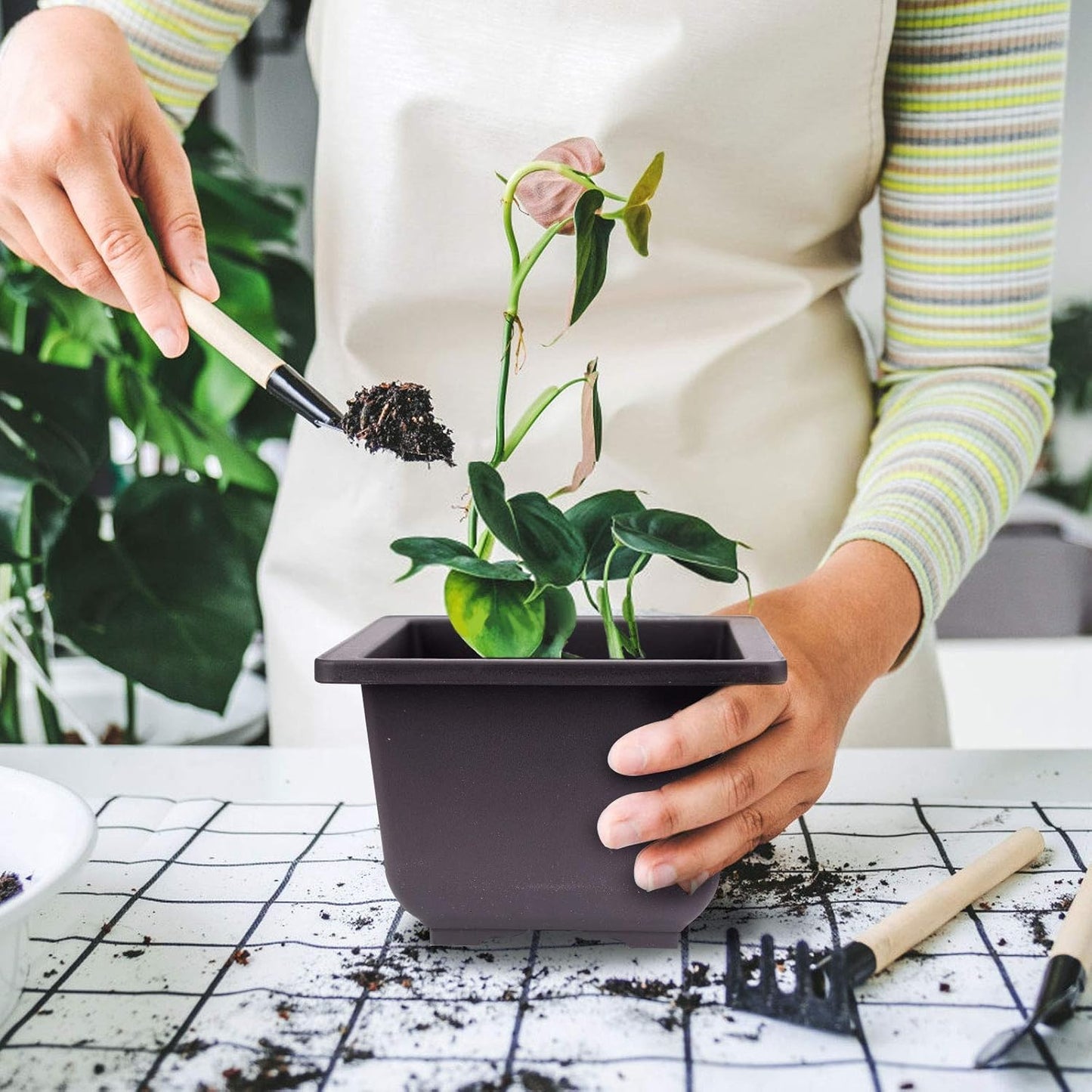 KINJOEK 15 PCS 6.7 Inch Plastic Bonsai Pots with Trays, Tall Deep Square Bonsai Training Pots with Drainage Hole, Tree Flower Succulent Plant Growing Pot Container for Garden, Indoor, Home Decorative