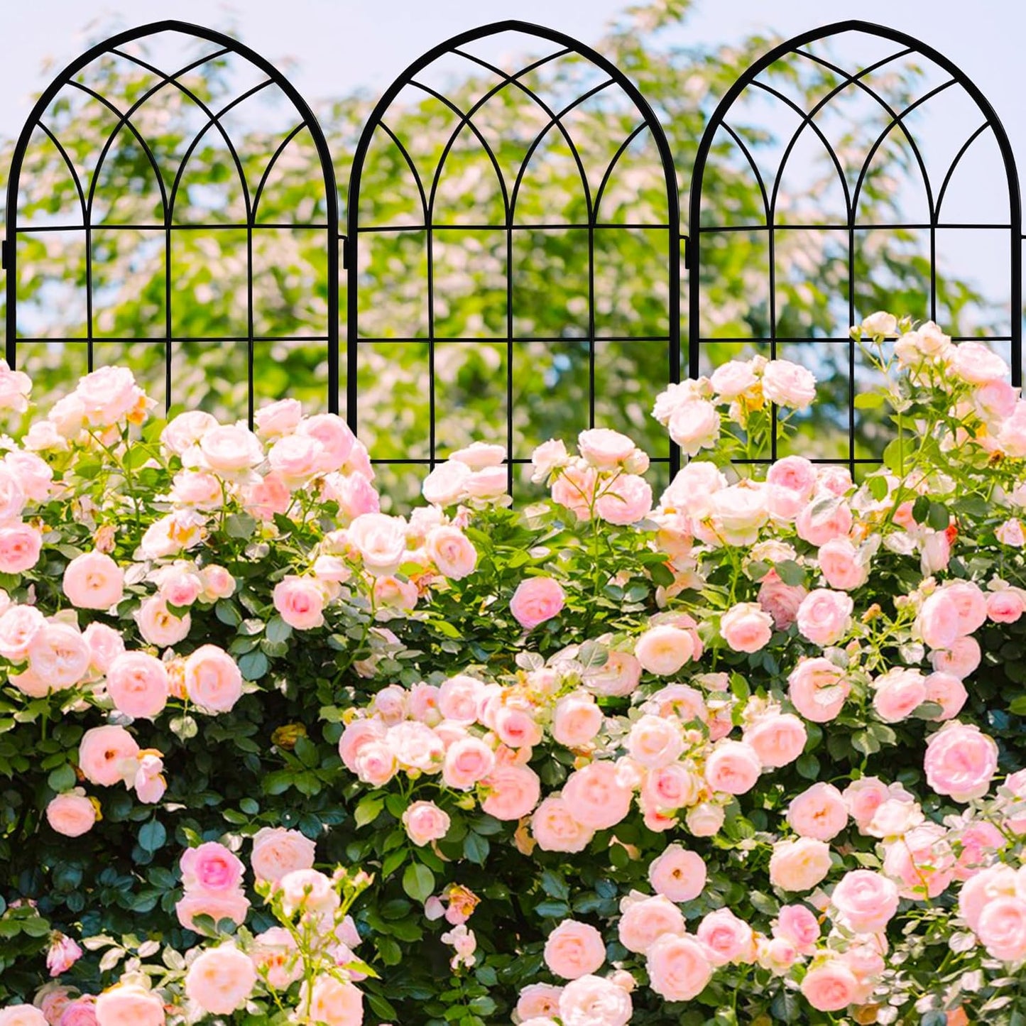 LZRS 2 Pack 71x20in Rustic Iron Arch Decoration Garden Trellis with Black Metal Coating – Perfect for Supporting Climbing Plants Outdoor, Roses, Vines, Flowers, and Vegetables.