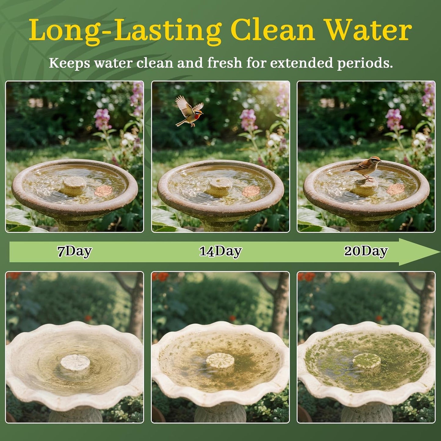 Bird Bath Copper Disk,Bird Bath Purification Disk 0.6mm Reinforced 99.99% Pure Copper Cleaning Disk with 3-Point Support,Fits Outdoor Birdbath & Bowl,Provide Safe Clean Water,Rose-2Pcs