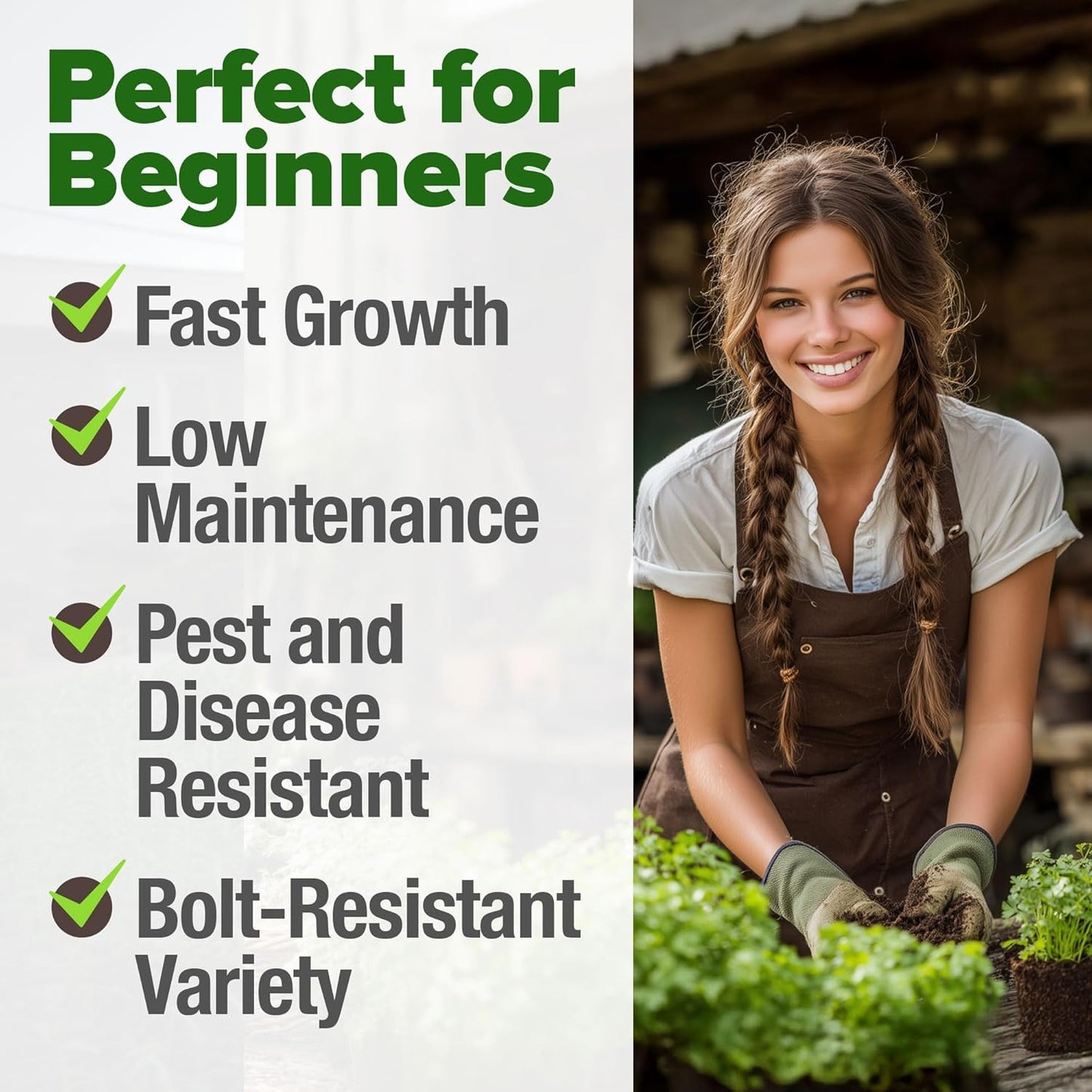 HOME GROWN π¨π¦π π£π₯ππ ππ¨π 500+ Cilantro Seeds for Planting Indoors or Outdoors - Heirloom π‘π’π‘-ππ π’ Coriander Seeds, Grow Your Own Cilantro Plant - Culinary Herb Seeds for Your Herb Garden