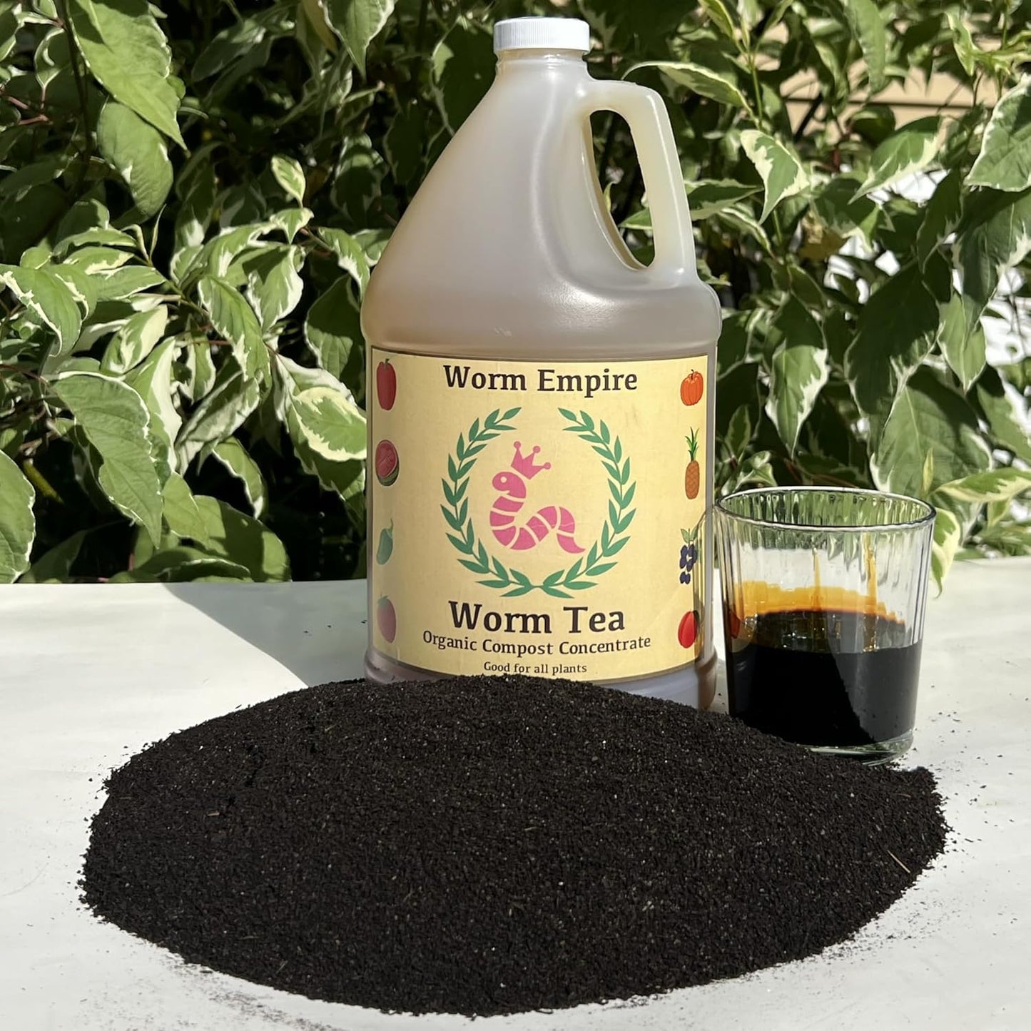 Worm Casting Tea, Liquid Fertilizer Concentrate and Natural Plant Food for Indoor and Outdoor, 1 Gallon