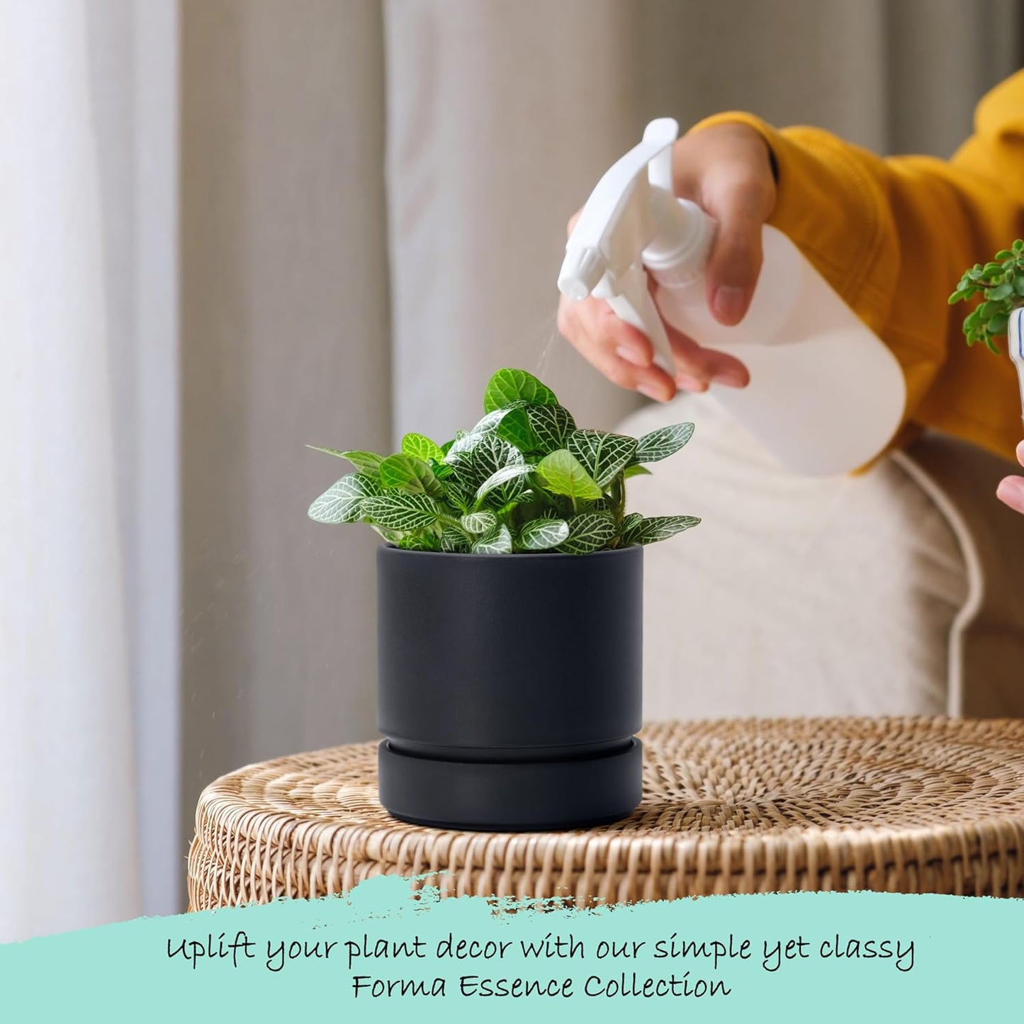 Phoenix Vine 4 Inch Planter Pot with Drainage Hole & Saucer, Deep Water Catch Tray, Straight Cylindrical Round Pot for Plants, Matte Black, Pack of 4, 23-C-R-4