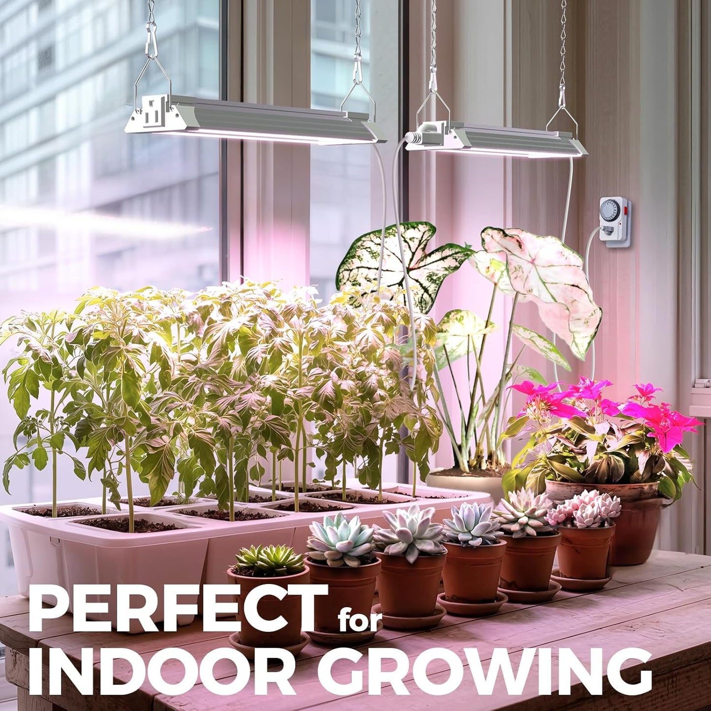 Barrina TX18 1FT Grow Light for Indoor Plants, 72W(4 x 18W, 360W Equivalent), High PPFD, Full Spectrum, Mechanical Timer, Grow Lights for Seed Starting, Vegetable with On/Off Switch, Linkable, 4 Packs