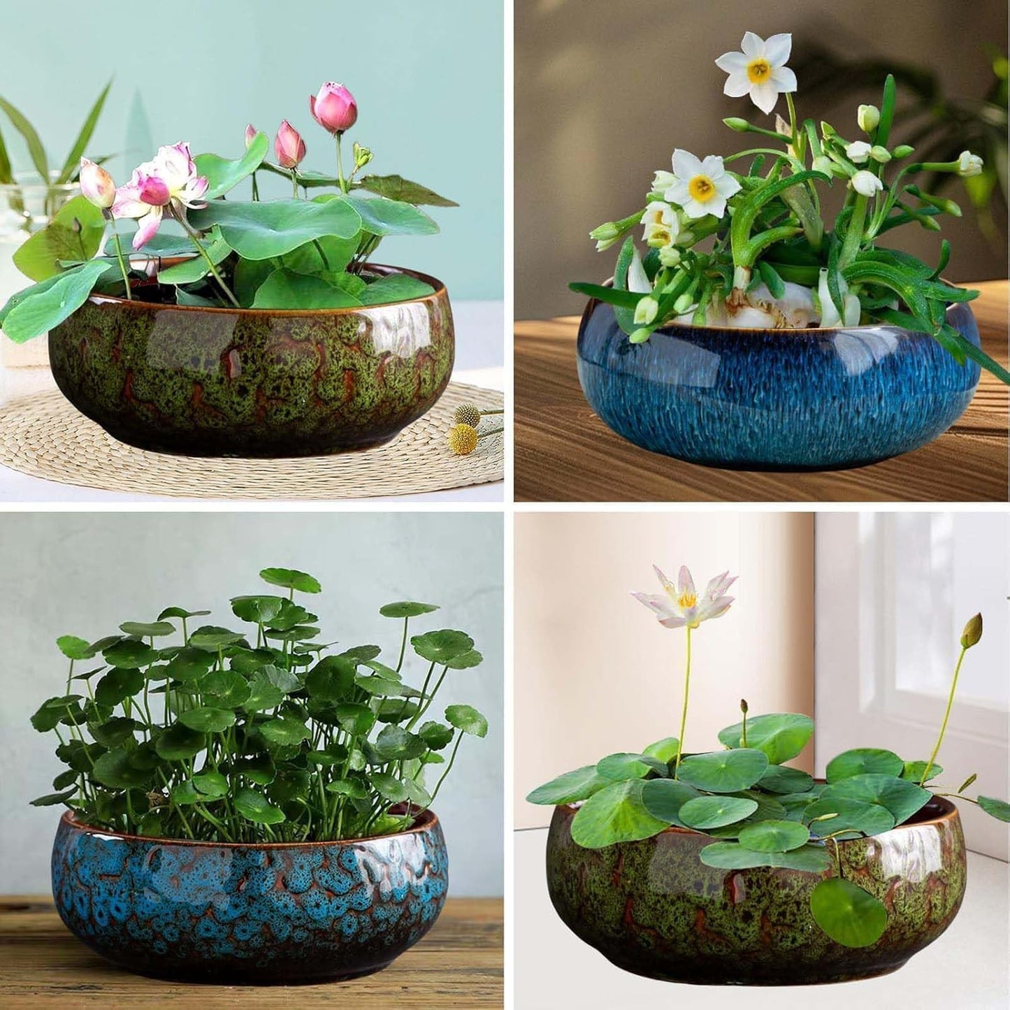 Lotus Bowl Planter, Lotus Bowls for Planting in Water Indoors, Ceramic Planters for Indoor Plants, Thickened Round Planter, for Succulent Plants Leak-Proof Design (Green)