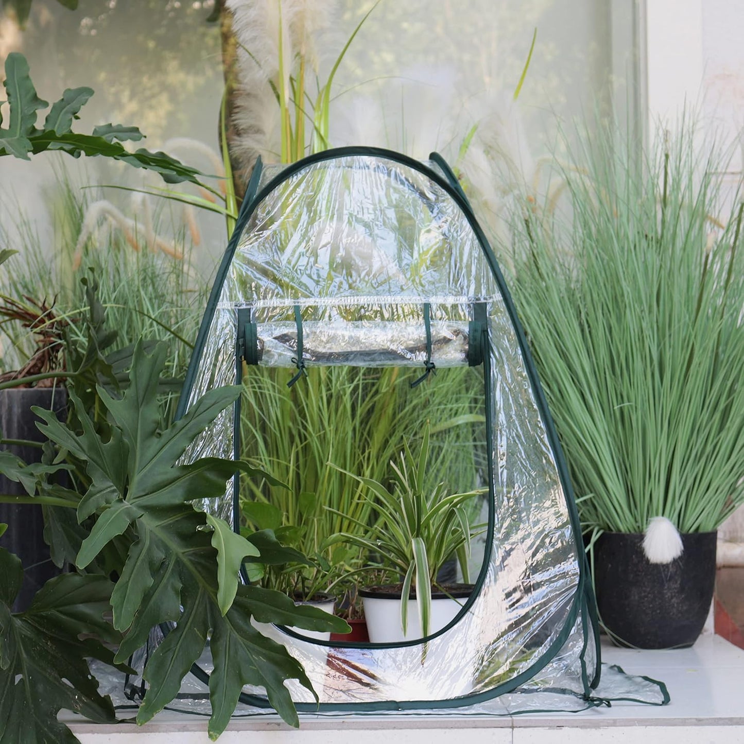 Gardzen 2-Pack 27"x27"x31" Pop up Grow Greenhouse Small Greenhouse, Portable Plant Flowers Mini Green House Cover for Outdoor & Indoor Use