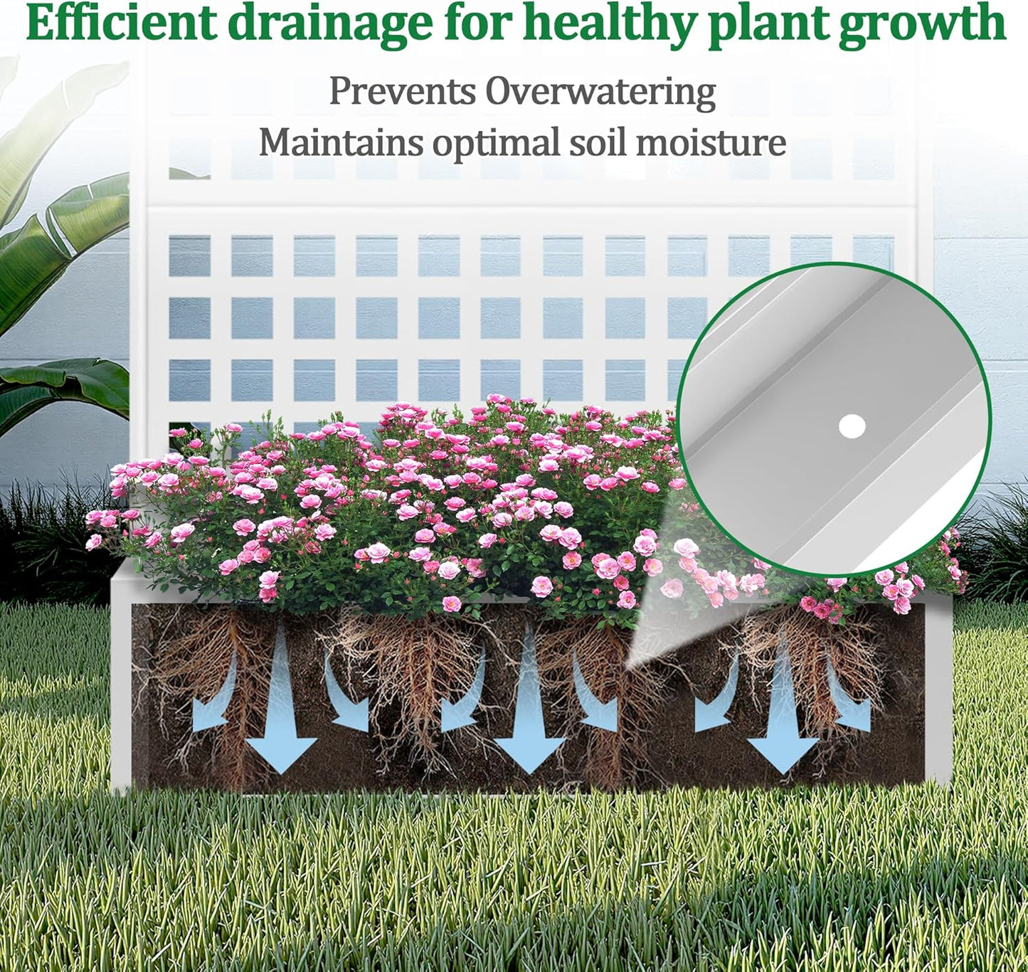 Metal Raised Garden Bed with Trellis, 2 in 1 Trellis with Planter Box & Privacy Screen for Climbing Plants, Vine, Outdoor Standing Flower Beds with Drainage Holes, 47.2"L x 16.7"W x 70.8"H, White