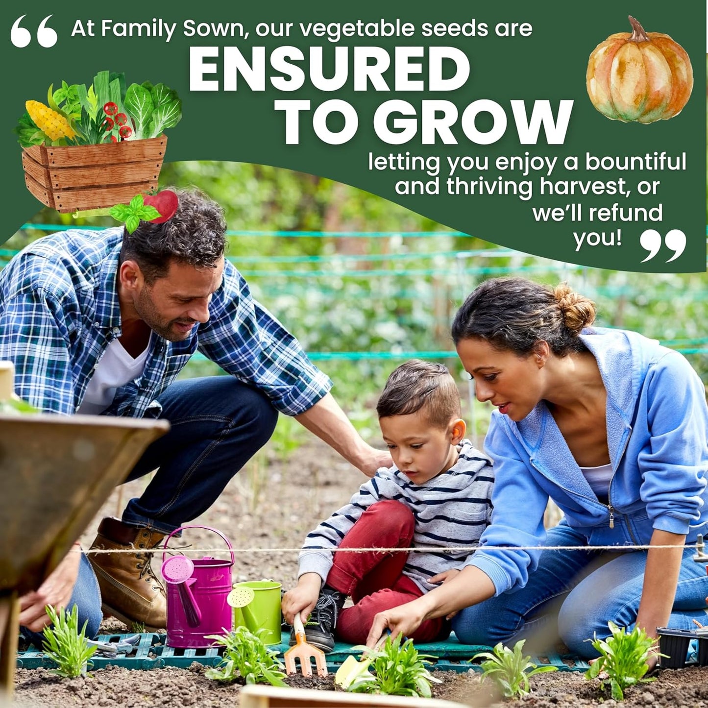 Herb Seeds | 5 Invidiual Packs | 2025 Season | Non-GMO | Basil, Dill, Mint, Parsley & Thyme! | for Planting Indoor & Outdoor | by Family Sown