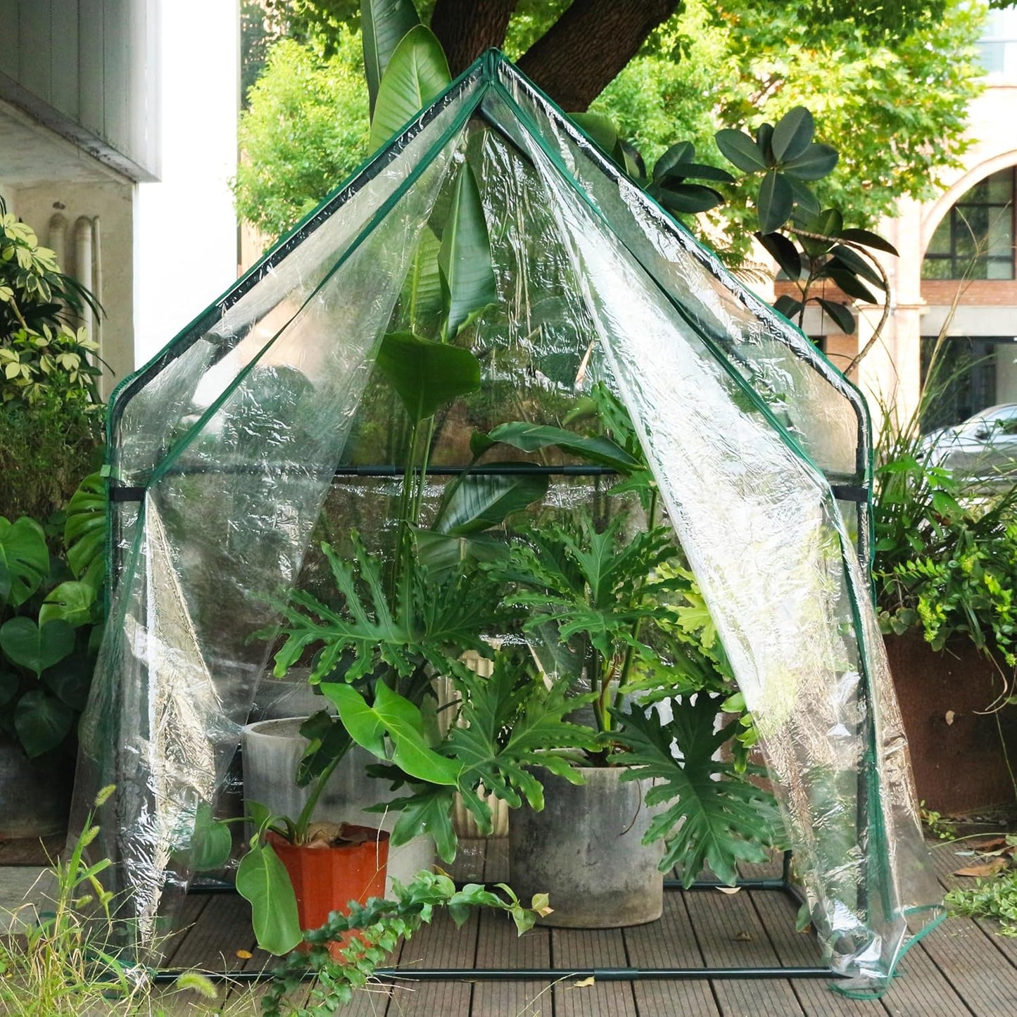 Gardzen Mini Greenhouse Heavy Duty Portable Green House, Clear Tent Small Greenhouse for Indoor Outdoor Plants 36.2”(L) x53.3”(W) x66.1”(H)