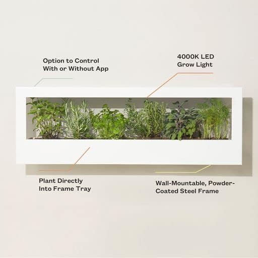 Modern Sprout Smart Landscape Growframe Wall Mounted Planter with LED Grow Light -White