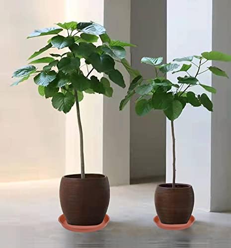 2 Pack of Extra Large Plant Saucer 24 26 inch (22.5 inch Base), 4.2" Depth, Plastic Birdbath Bowl for Indoors Outdoor, Deep Heavy Duty Plant Saucer Dish for Garden (26", Terracotta)